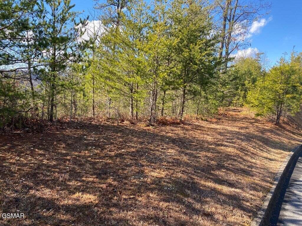 1824 Pinestand Ridge Way Sevierville TN 37862
