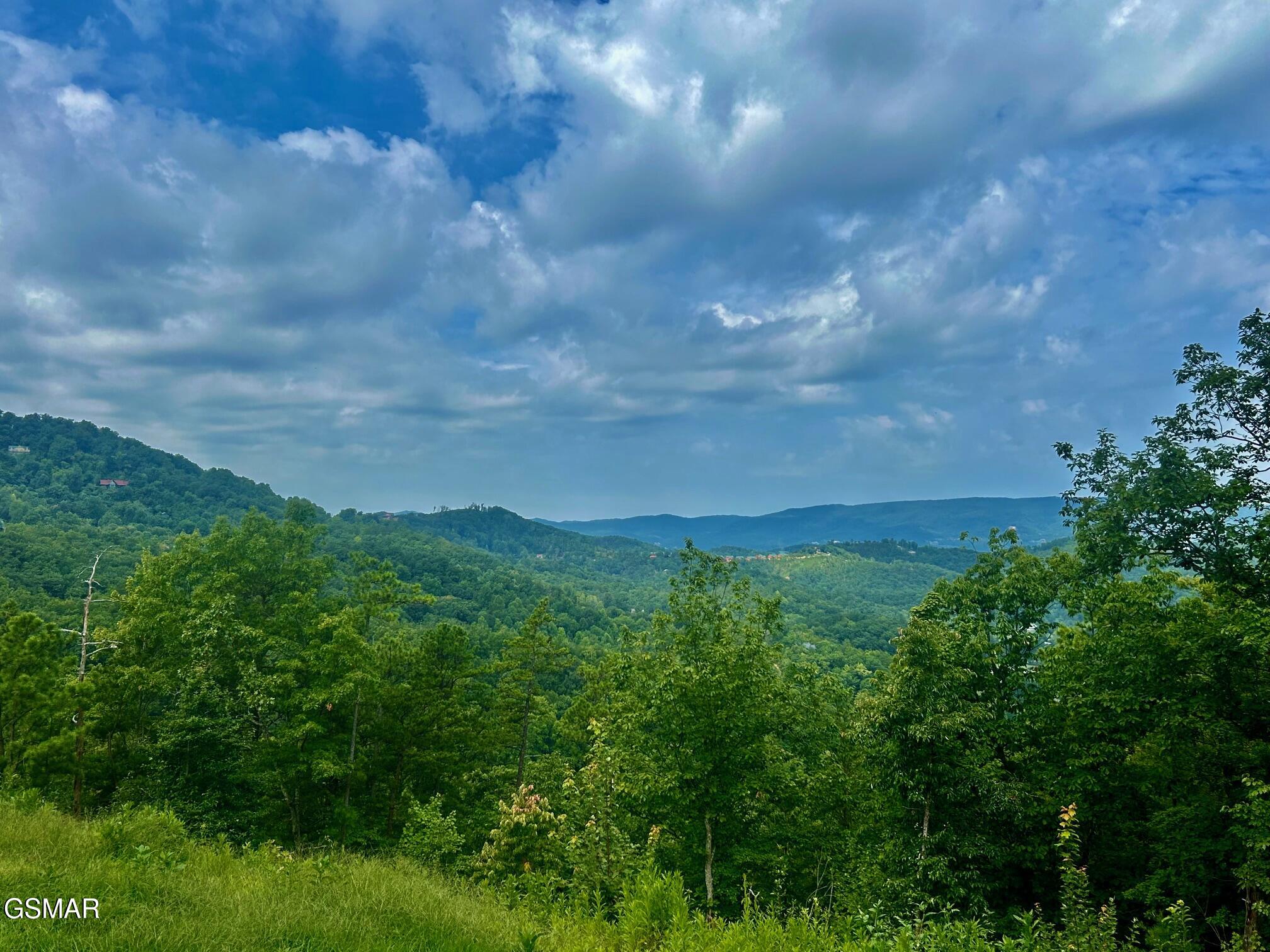 1824 Pinestand Ridge Way Sevierville TN 37862