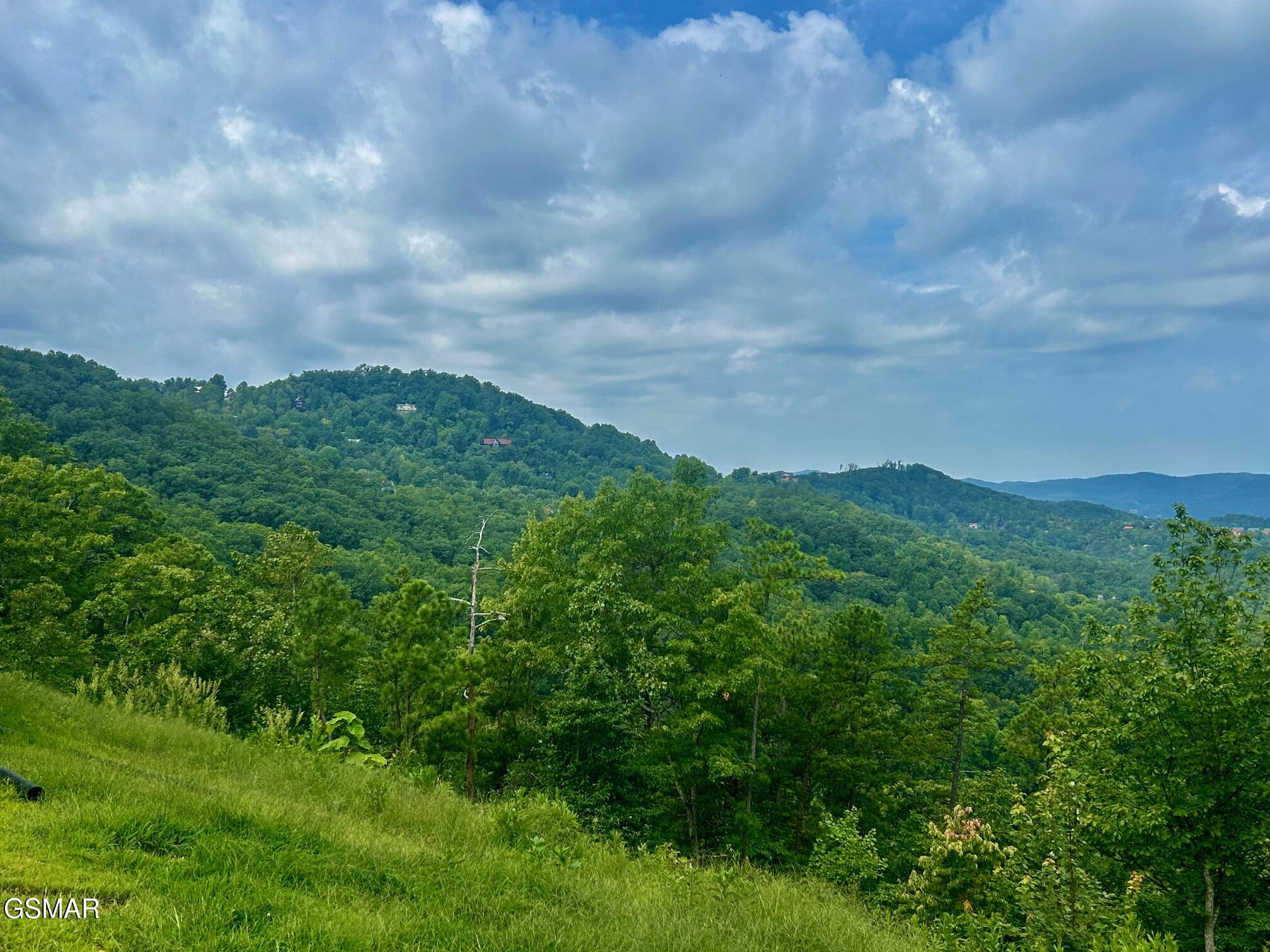 1824 Pinestand Ridge Way Sevierville TN 37862