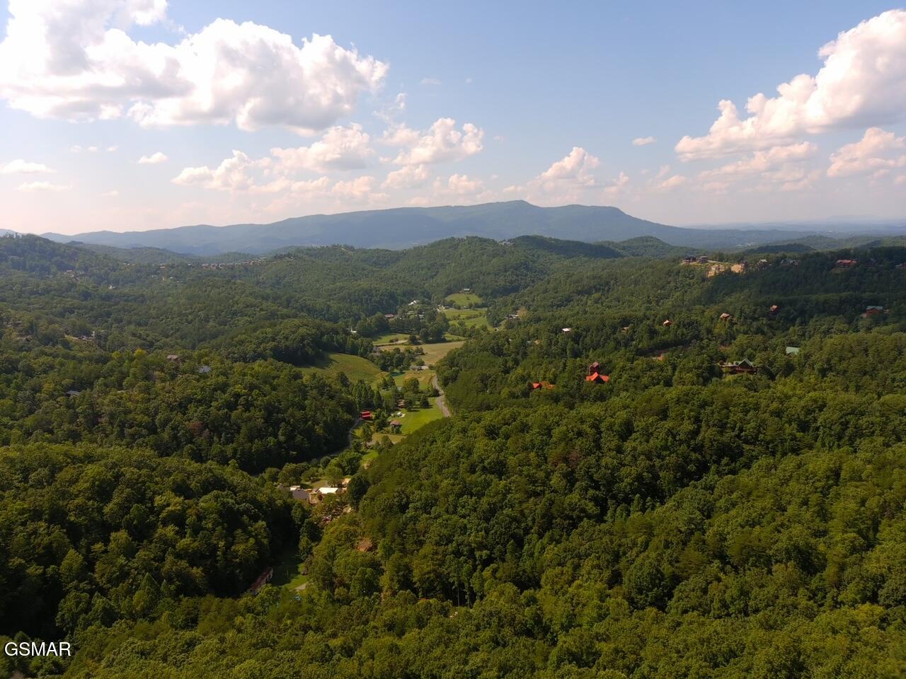 1824 Pinestand Ridge Way Sevierville TN 37862