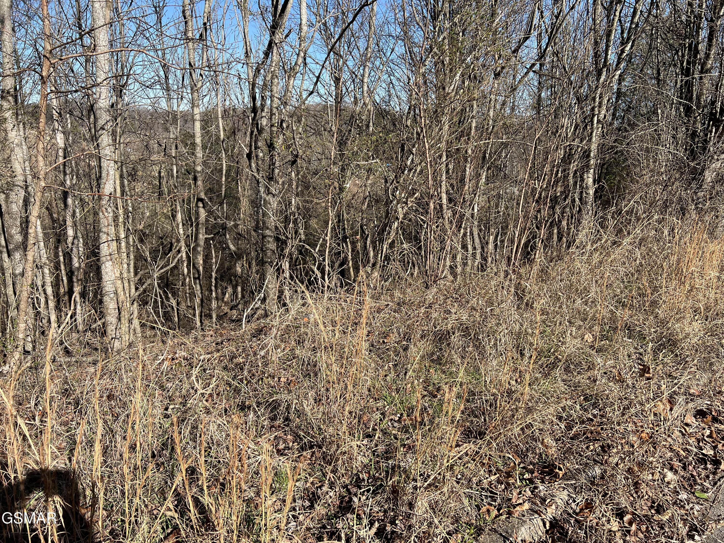 Lot 2 Baldwin View Drive New Market TN 37820