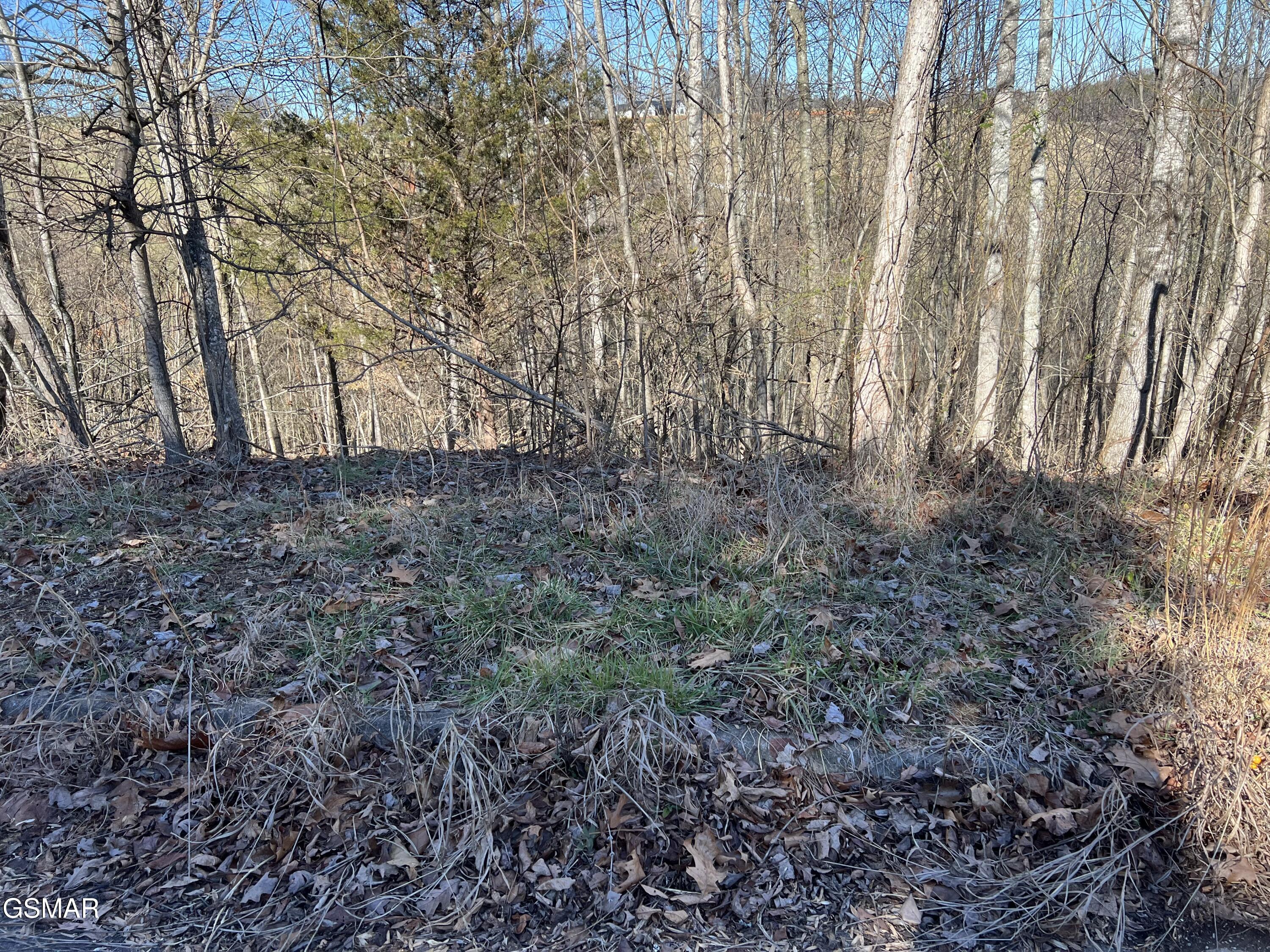 Lot 2 Baldwin View Drive New Market TN 37820