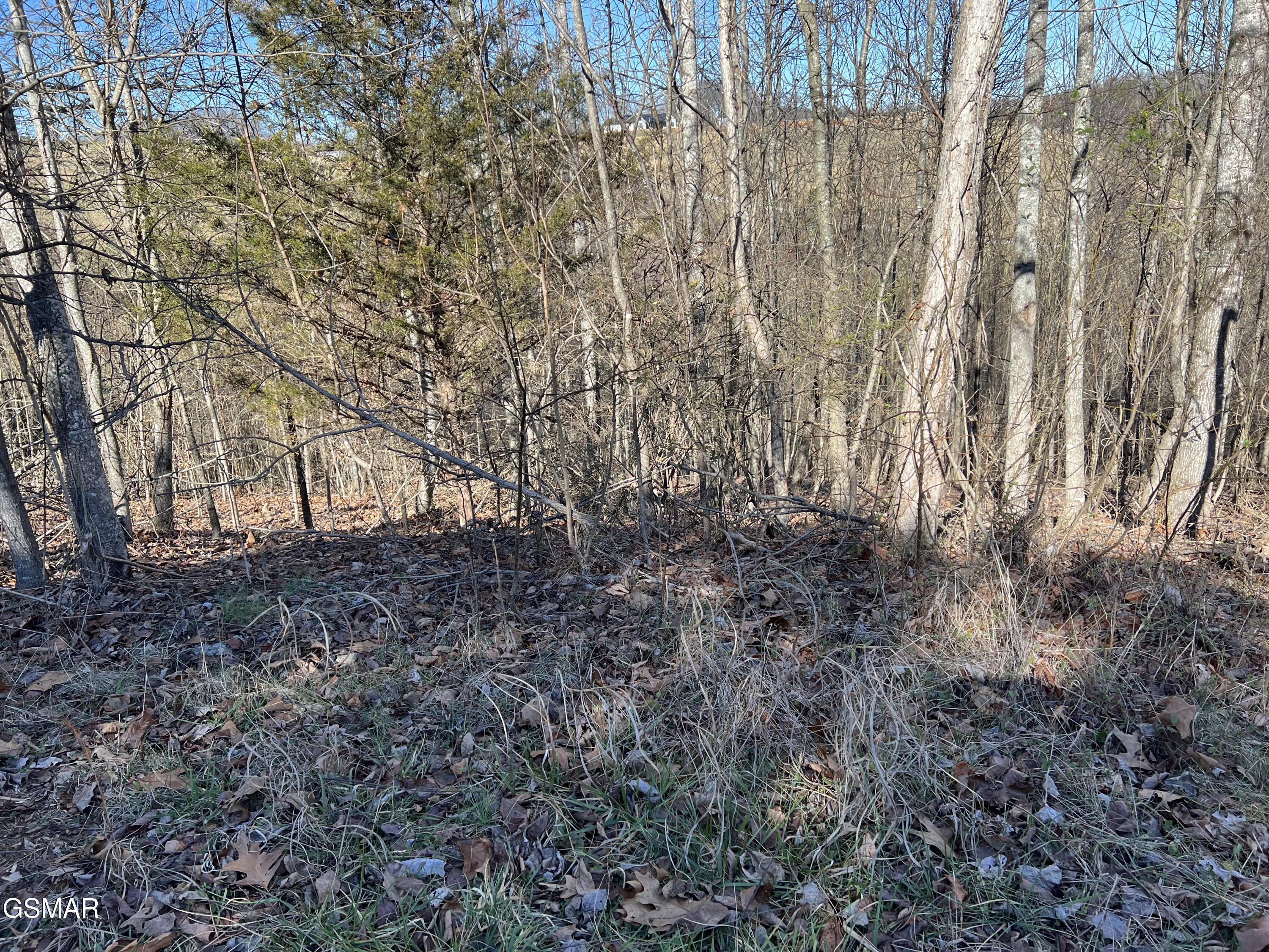 Lot 2 Baldwin View Drive New Market TN 37820