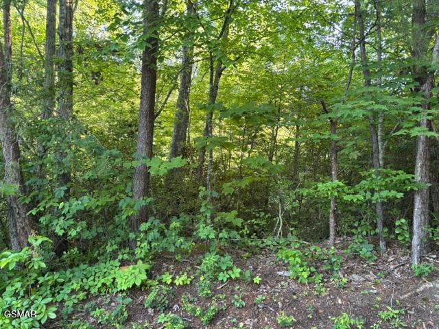 Lot 1461a Ridgehigh Pass Sevierville TN 37876