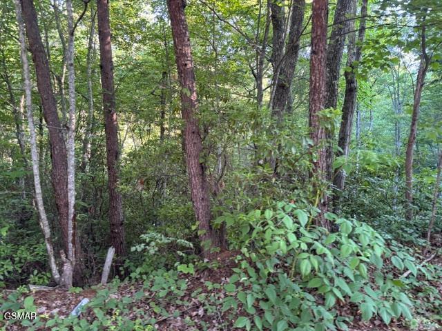 Lot 1461a Ridgehigh Pass Sevierville TN 37876