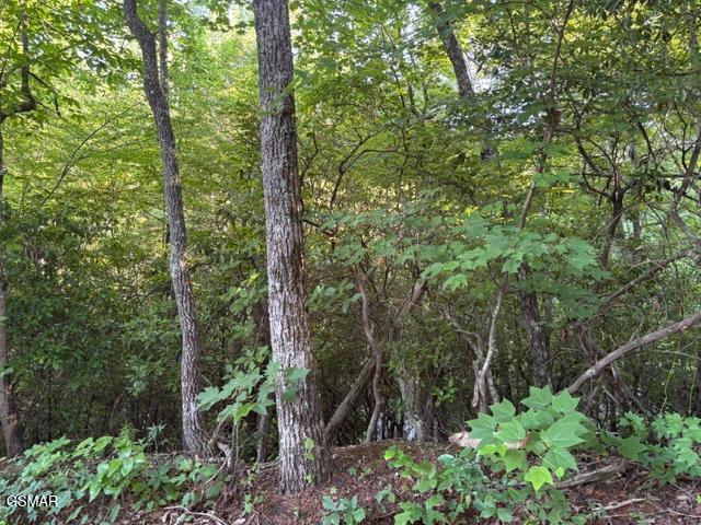 Lot 1461a Ridgehigh Pass Sevierville TN 37876