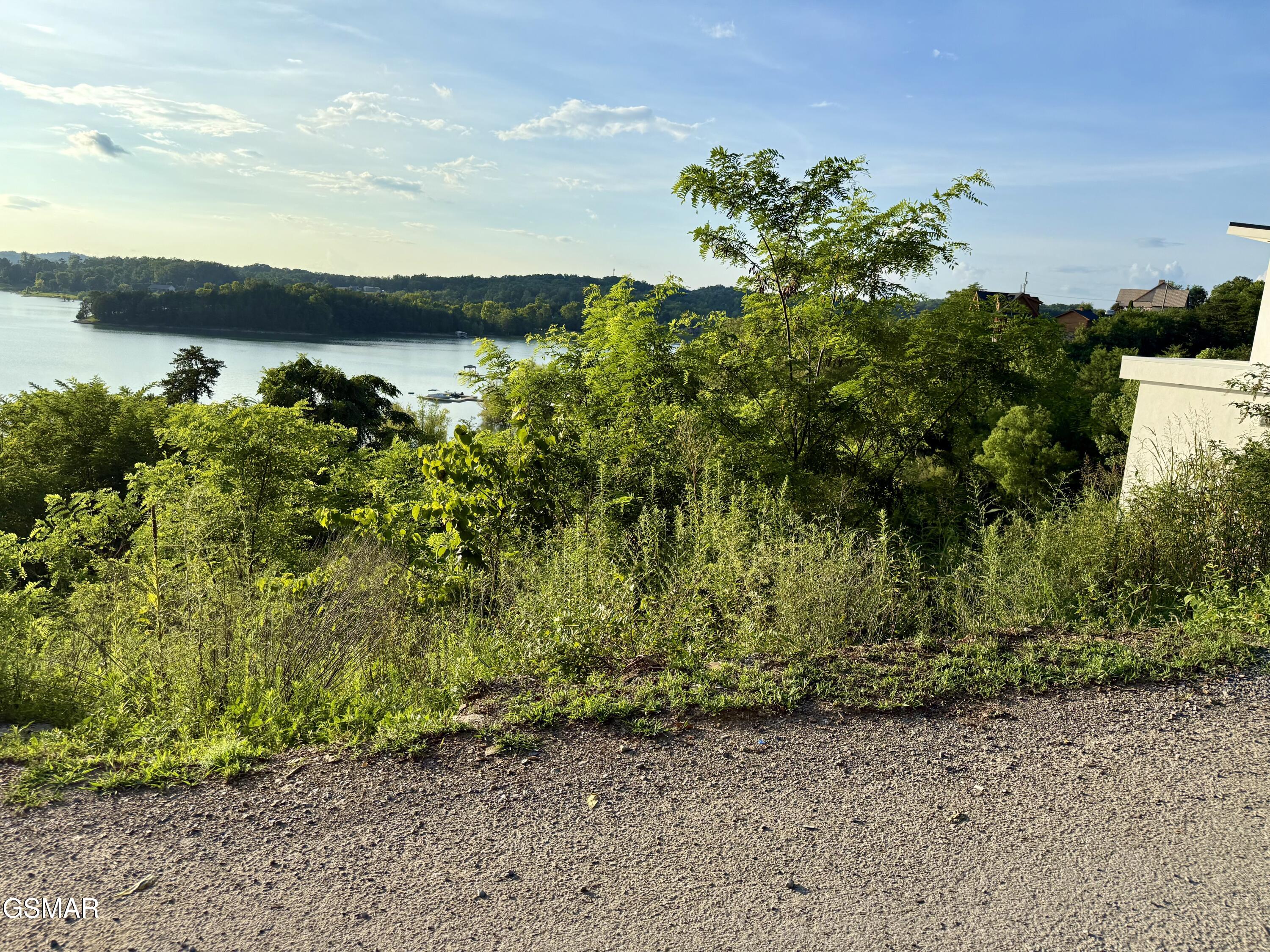 Lot 31 Waterfront Way Sevierville TN 37876
