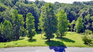 Lot 12 Cypress Drive Dandridge TN 37725