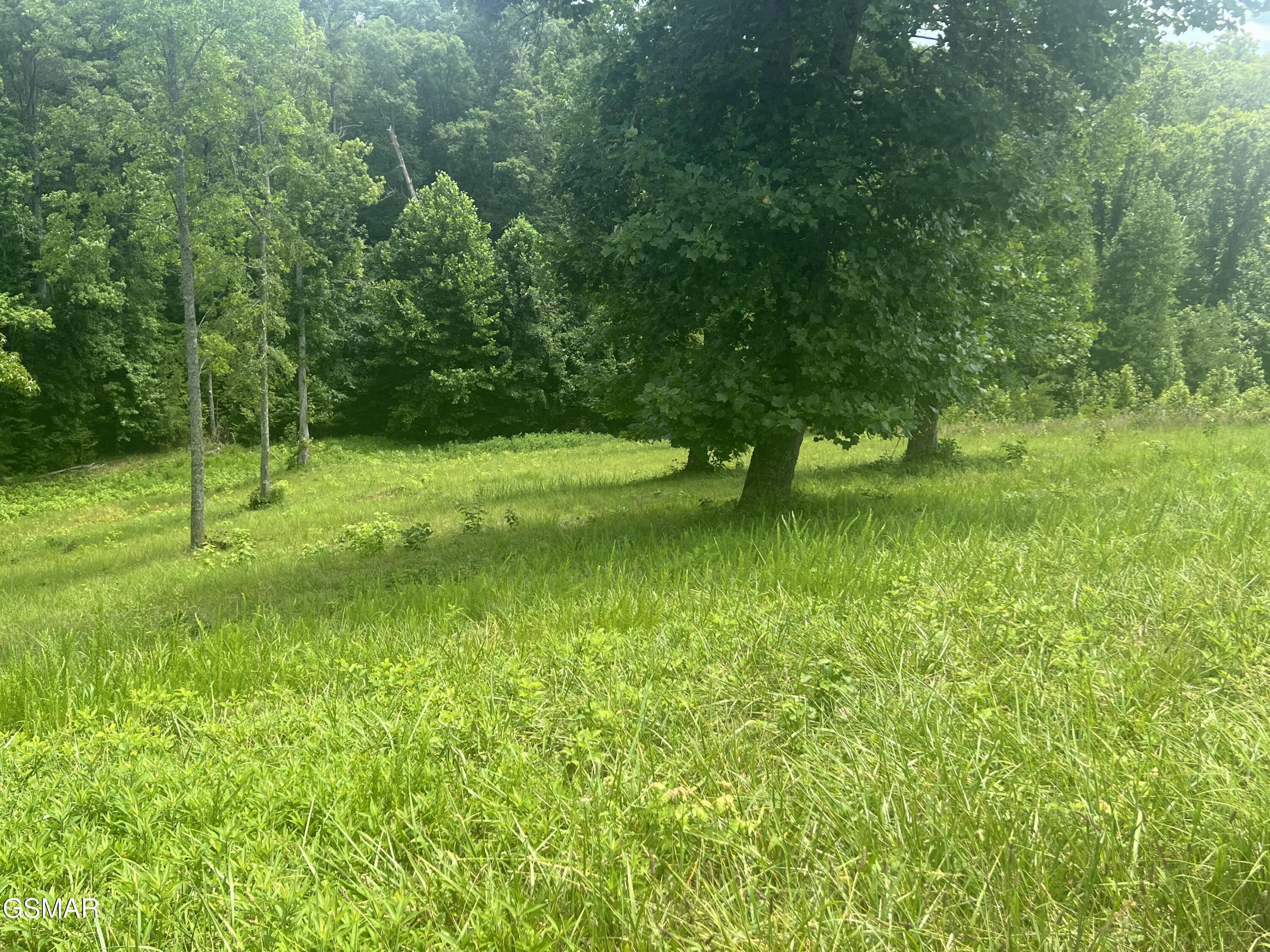 Lot 12 Cypress Drive Dandridge TN 37725