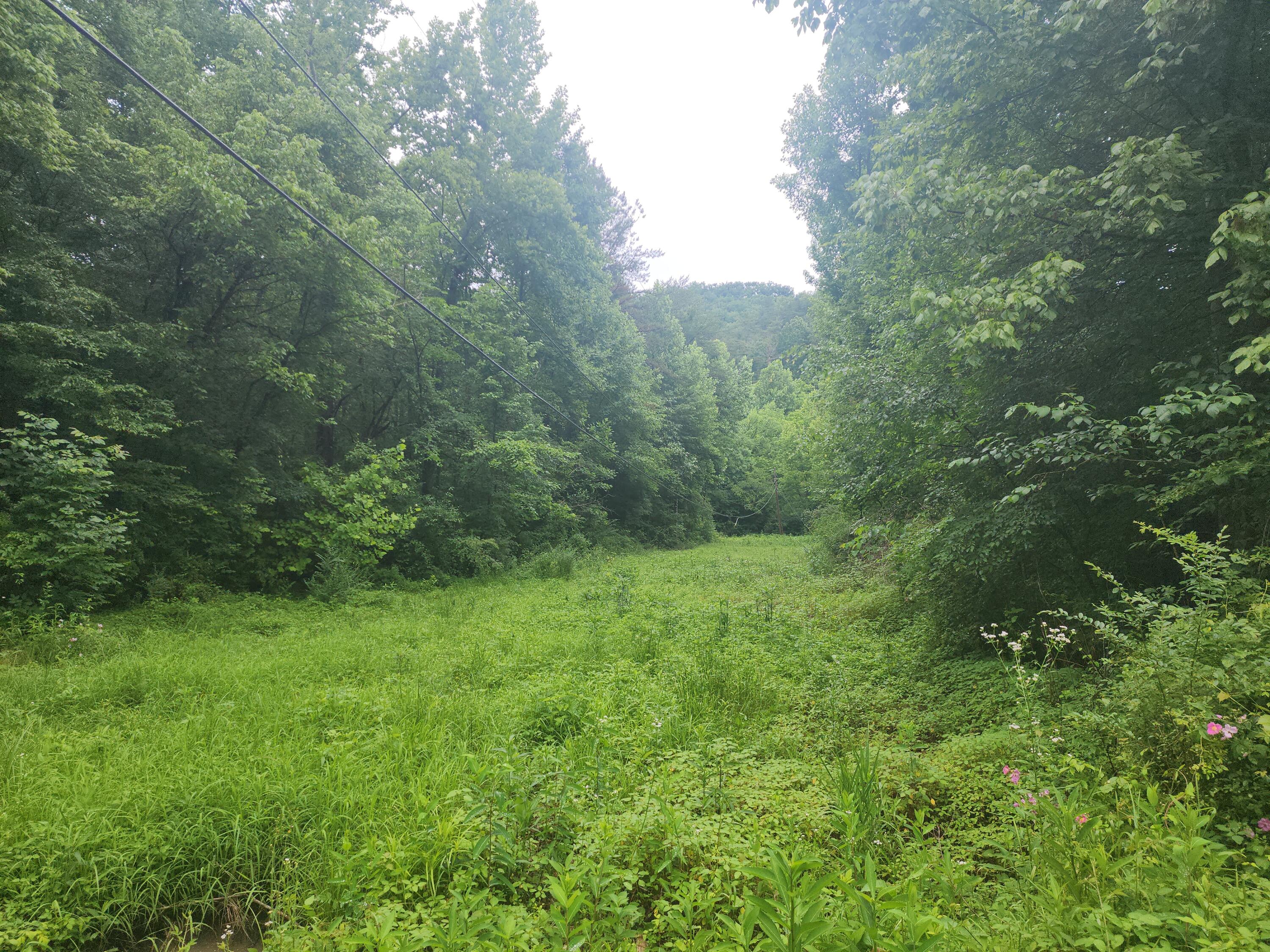 00 Rocky Flats Road Sevierville TN 37876