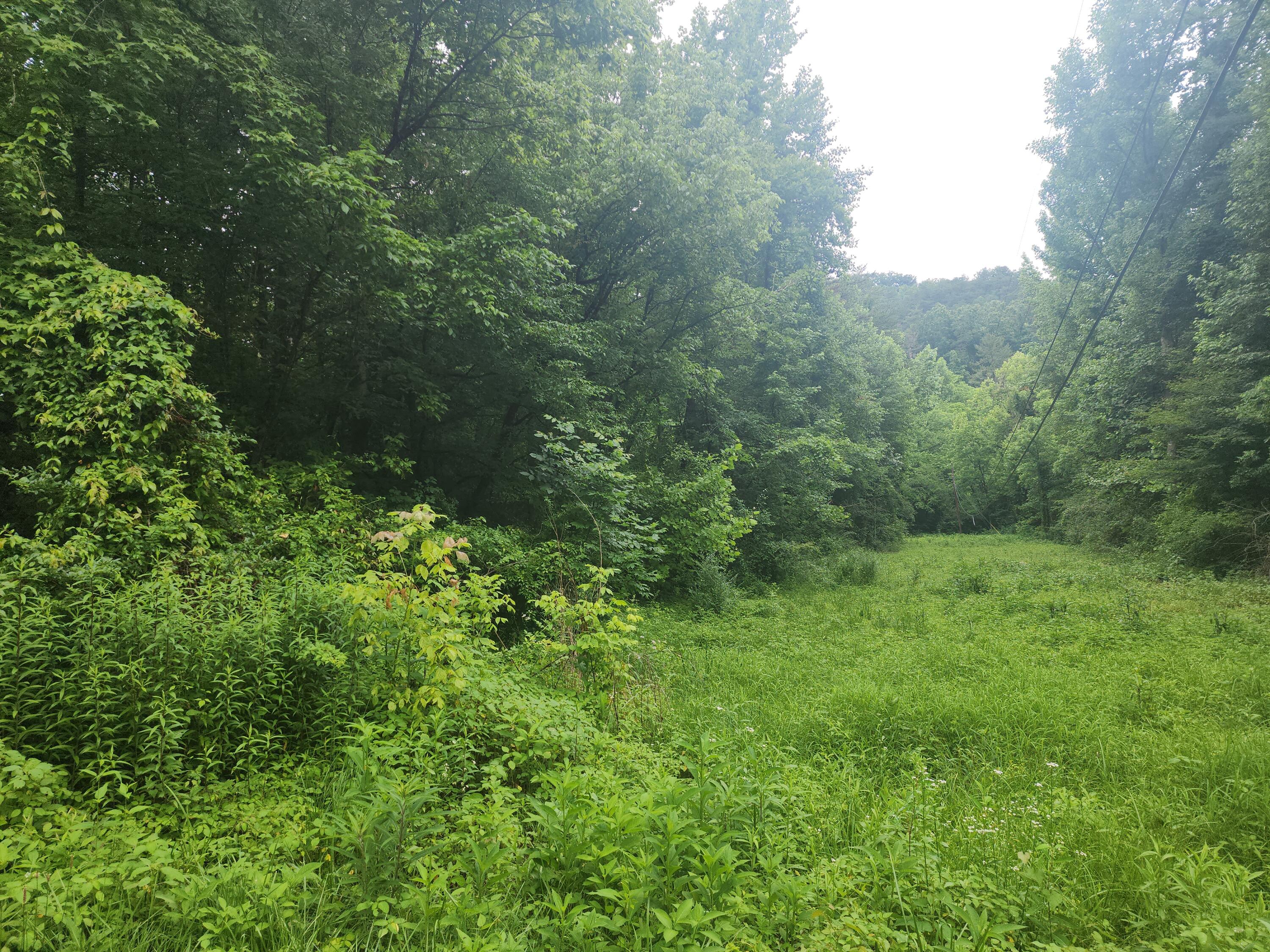 00 Rocky Flats Road Sevierville TN 37876