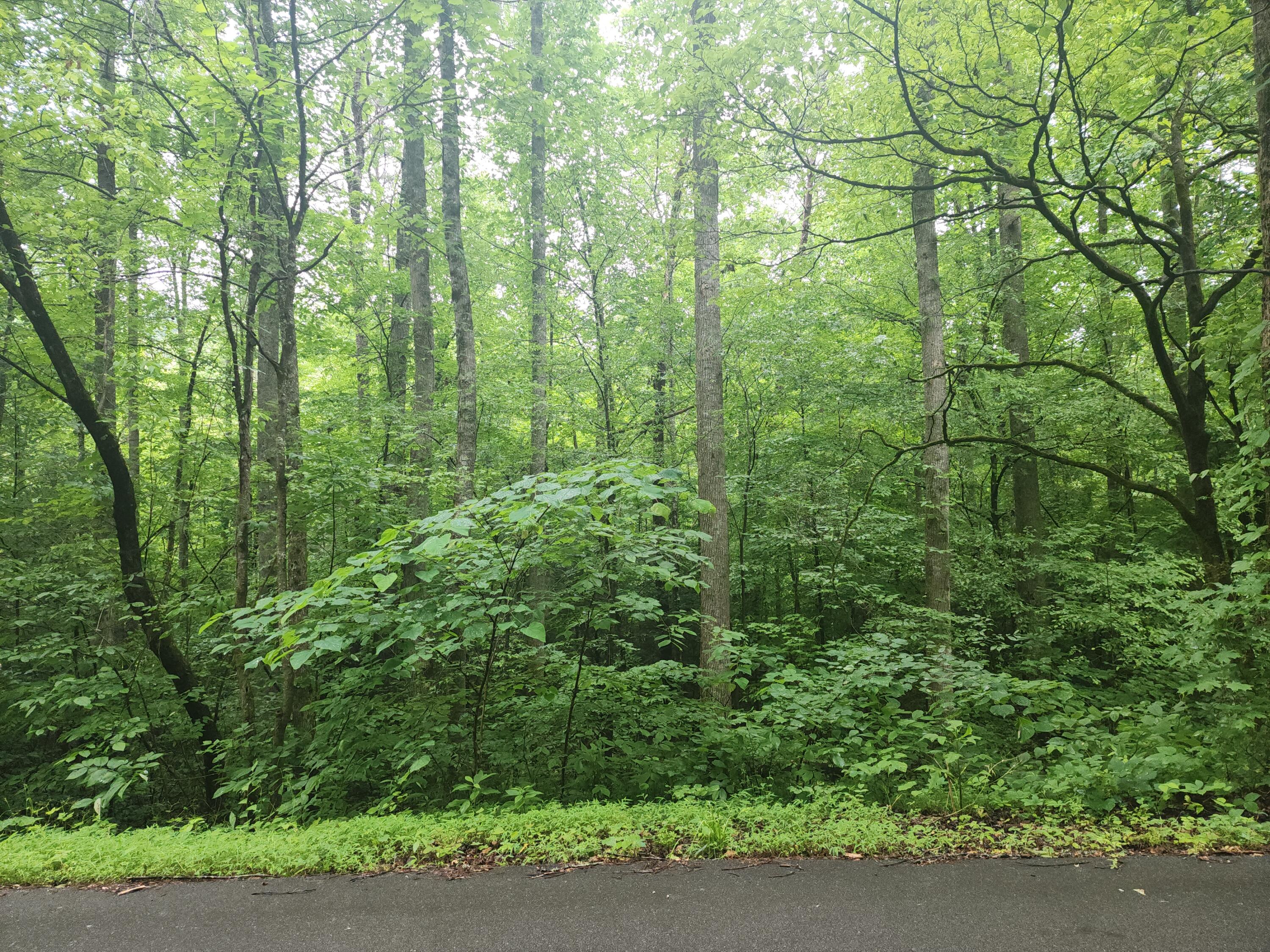 00 Rocky Flats Road Sevierville TN 37876