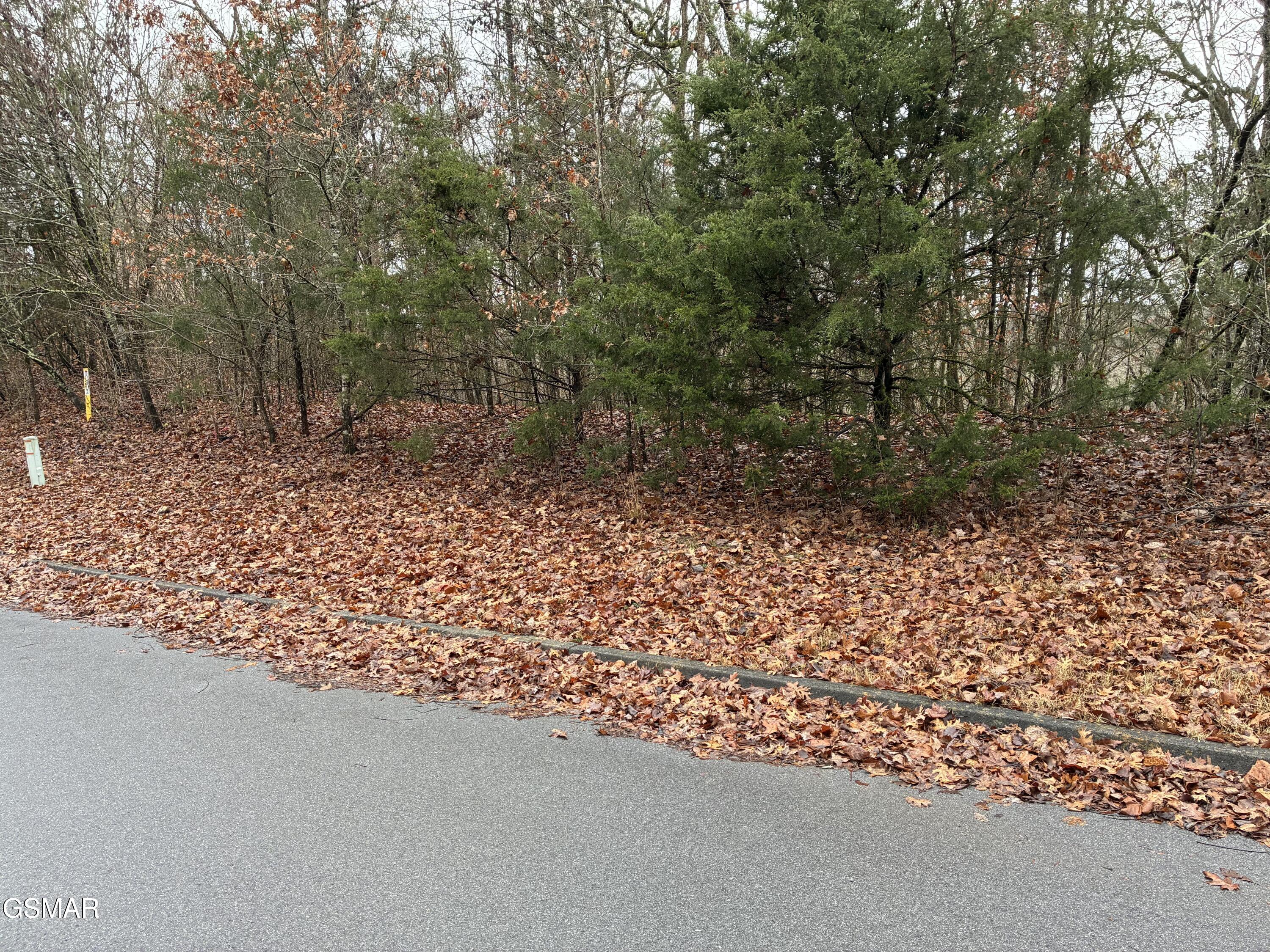 0 Longspur Trail Trail Sevierville TN 37876