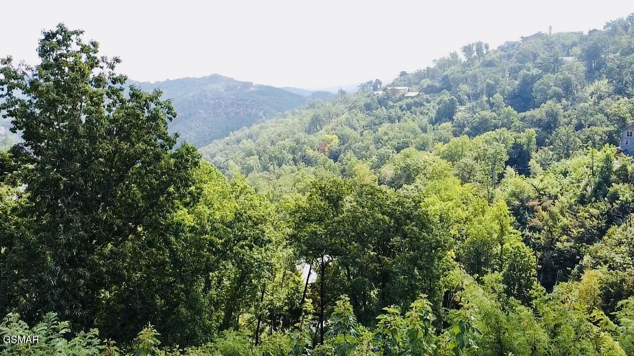 670 Pinecrest Drive Gatlinburg TN 37738