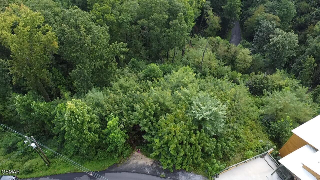 670 Pinecrest Drive Gatlinburg TN 37738