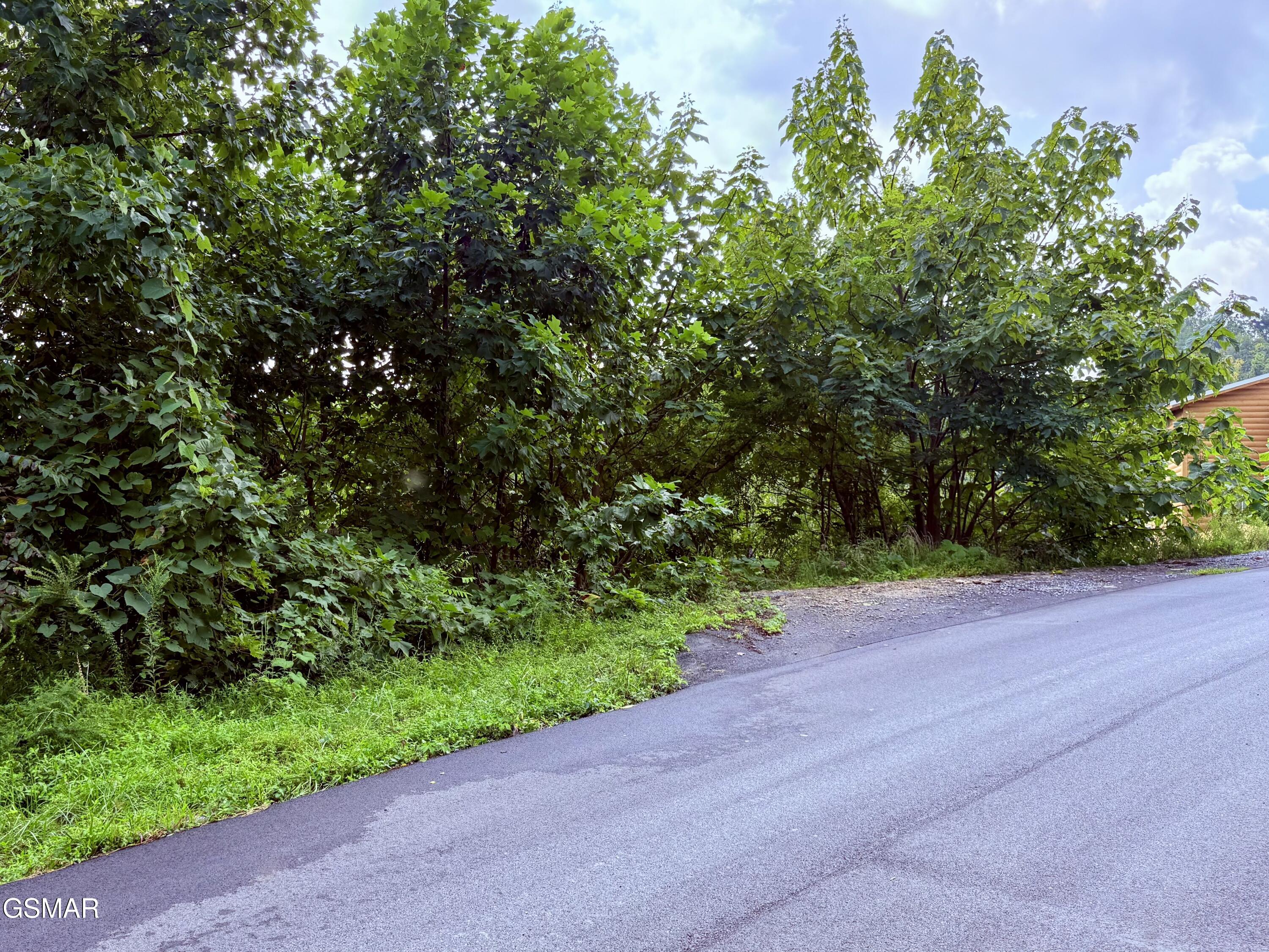 670 Pinecrest Drive Gatlinburg TN 37738