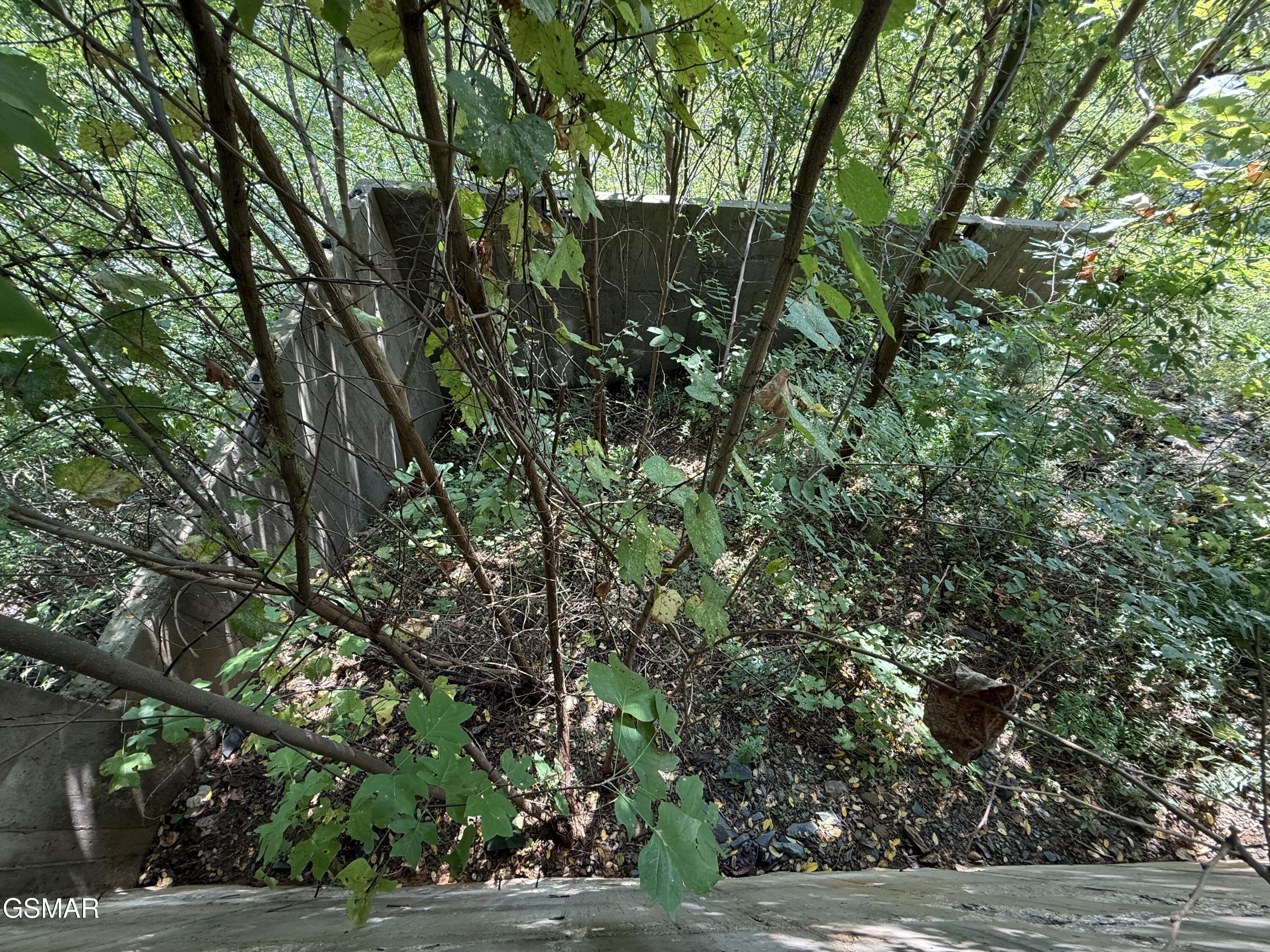 670 Pinecrest Drive Gatlinburg TN 37738