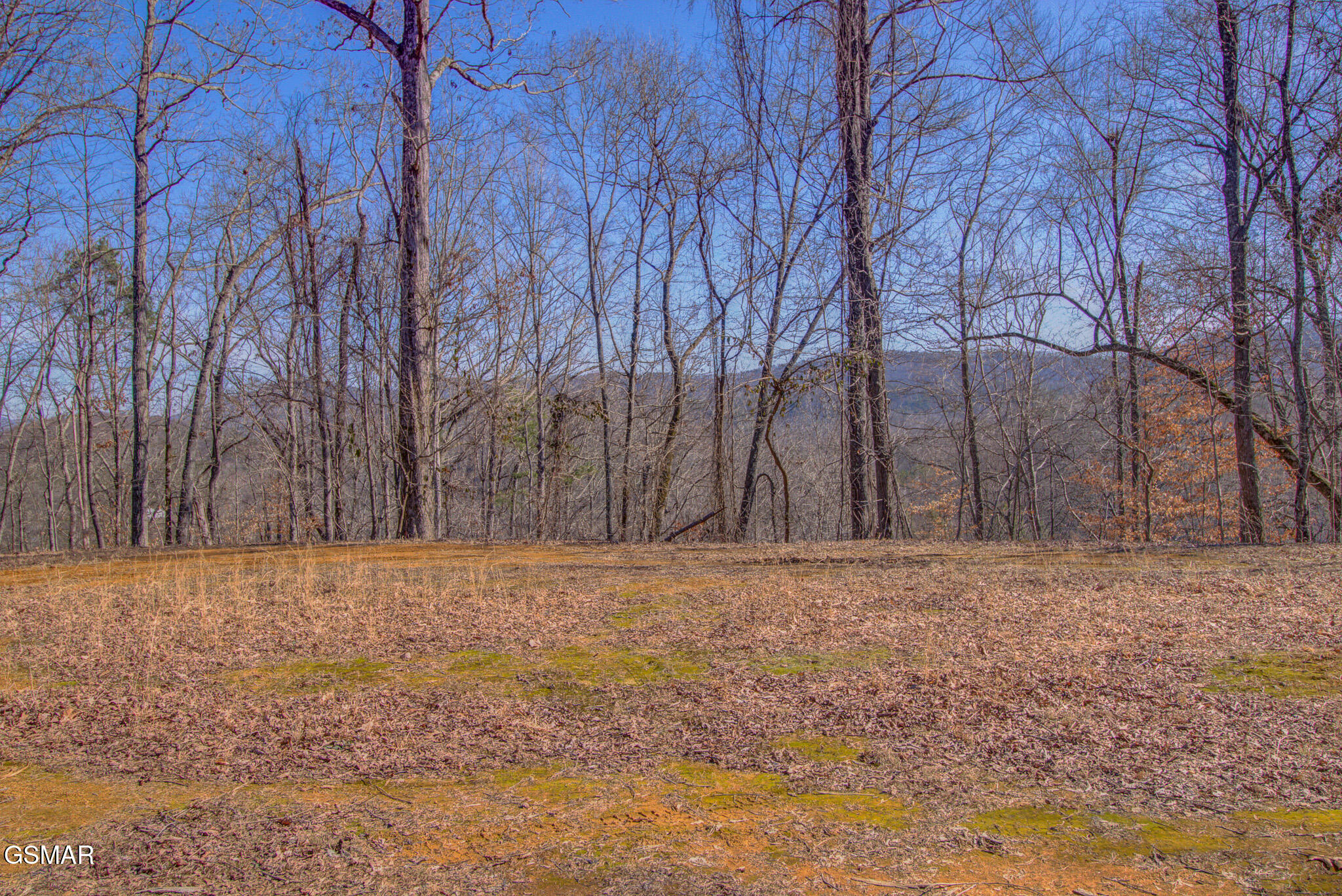4575 Crooked Creek Way Lot 3 Maryville TN 37803