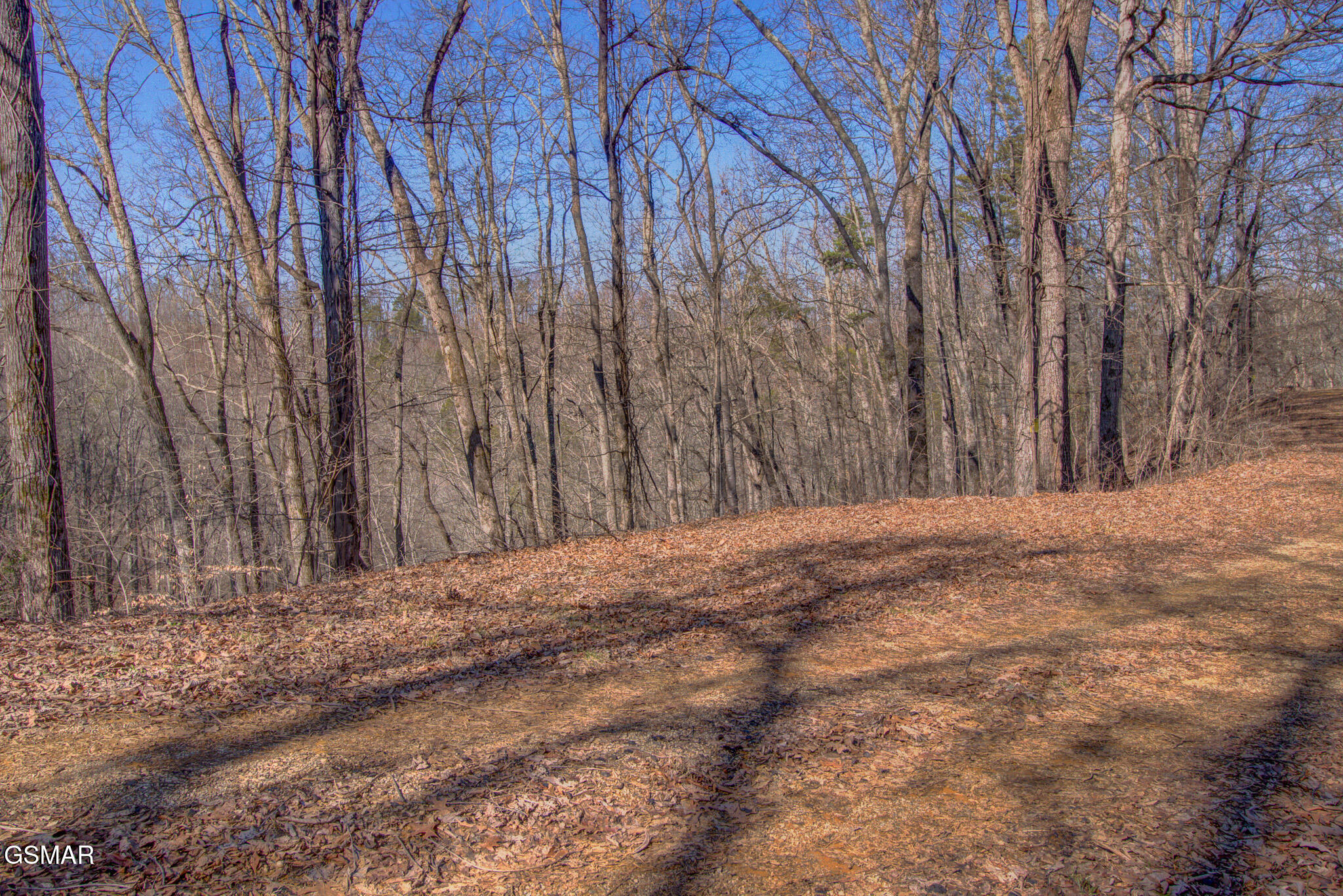 4575 Crooked Creek Way Lot 3 Maryville TN 37803