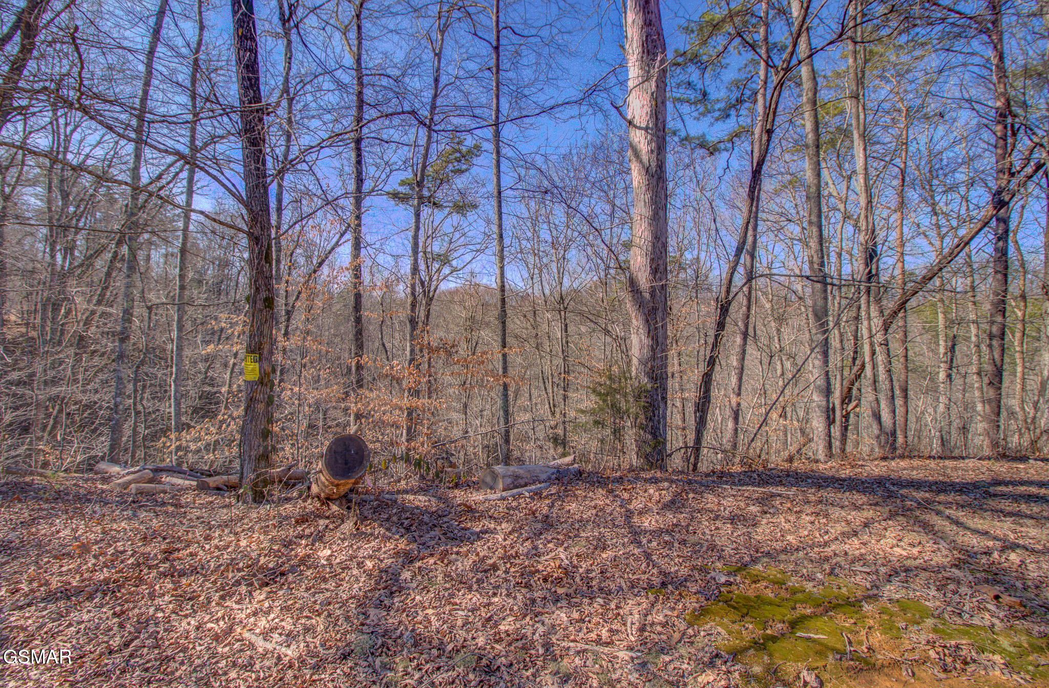 4575 Crooked Creek Way Lot 3 Maryville TN 37803