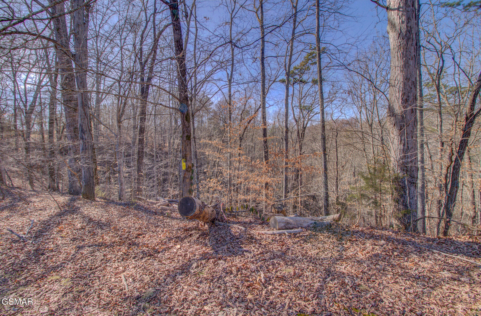4575 Crooked Creek Way Lot 3 Maryville TN 37803