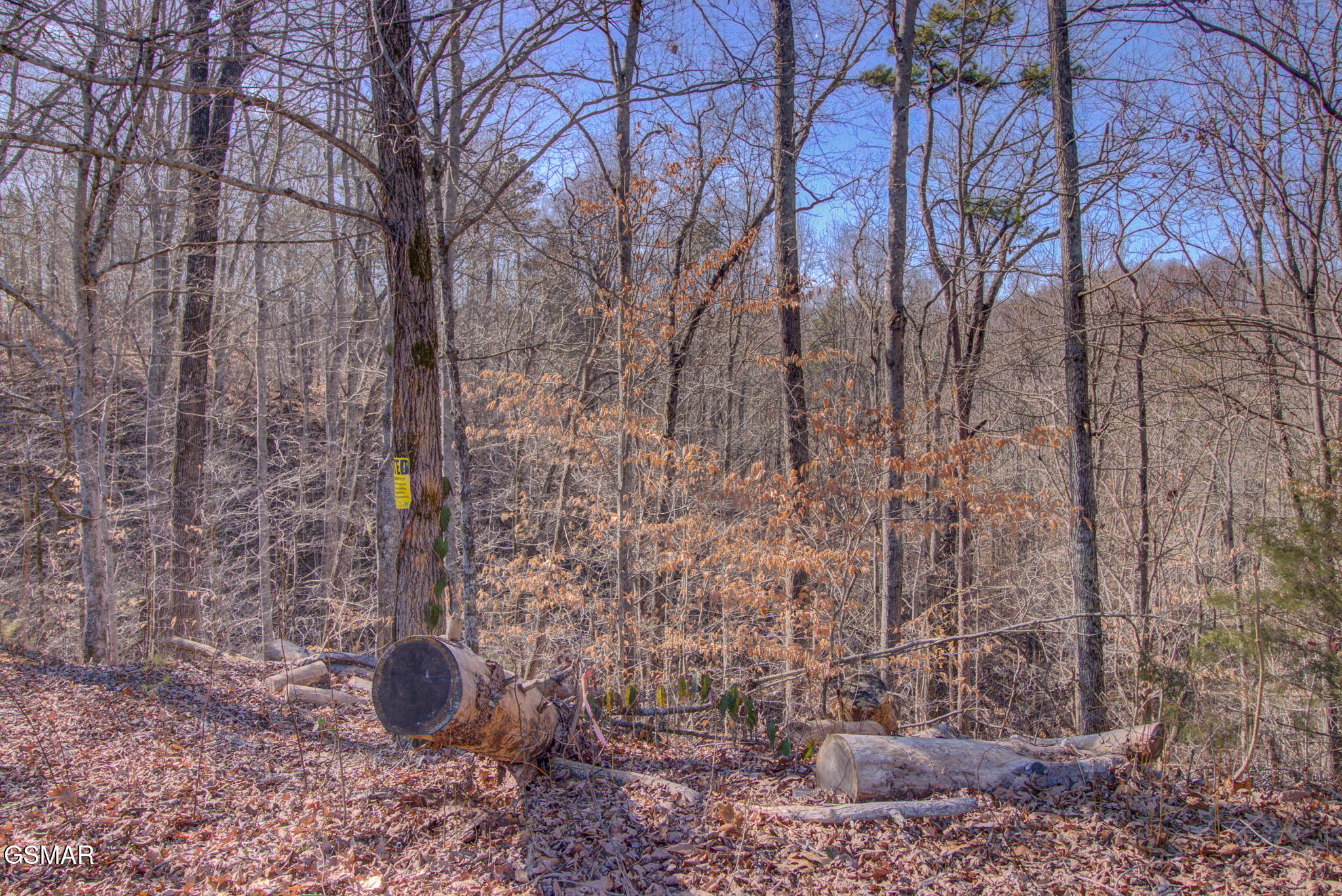 4575 Crooked Creek Way Lot 3 Maryville TN 37803