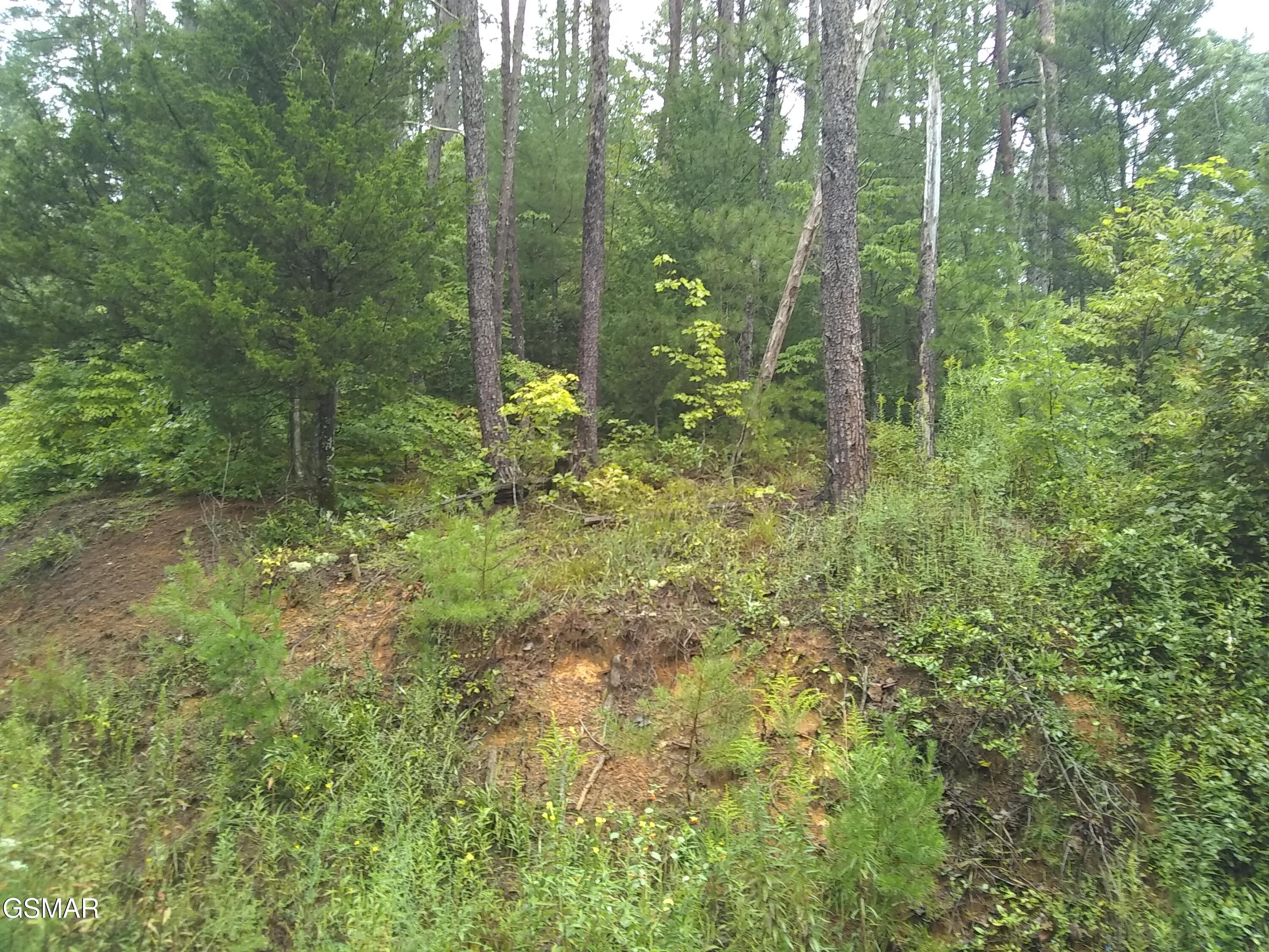 23 Walden Ridge Road Sevierville TN 37862