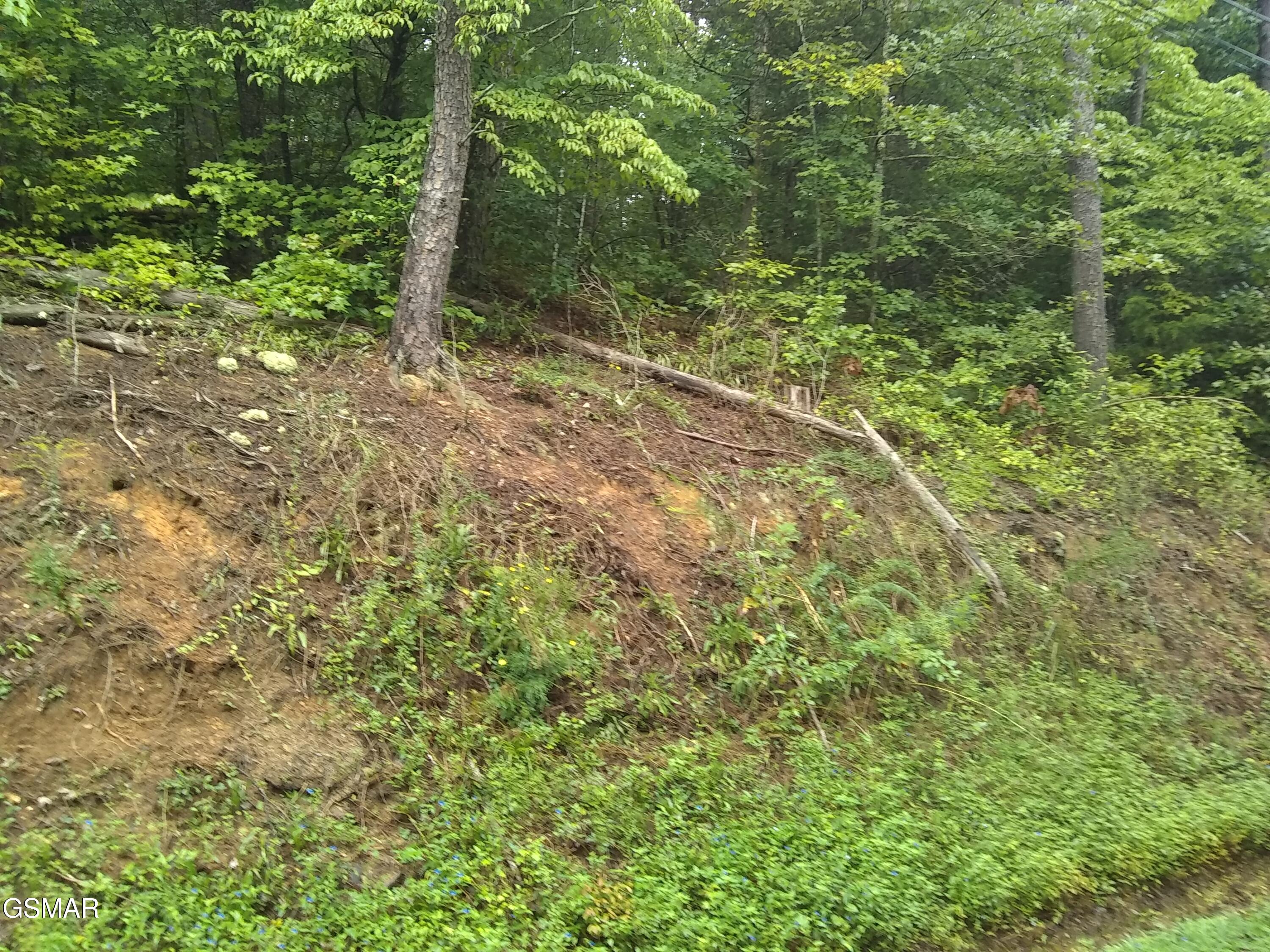 23 Walden Ridge Road Sevierville TN 37862