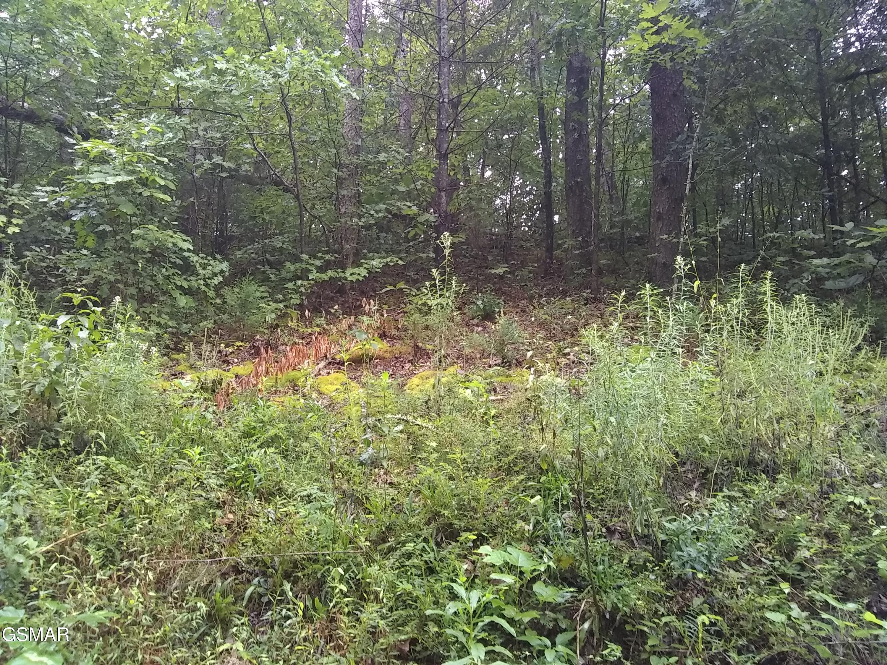 23 Walden Ridge Road Sevierville TN 37862