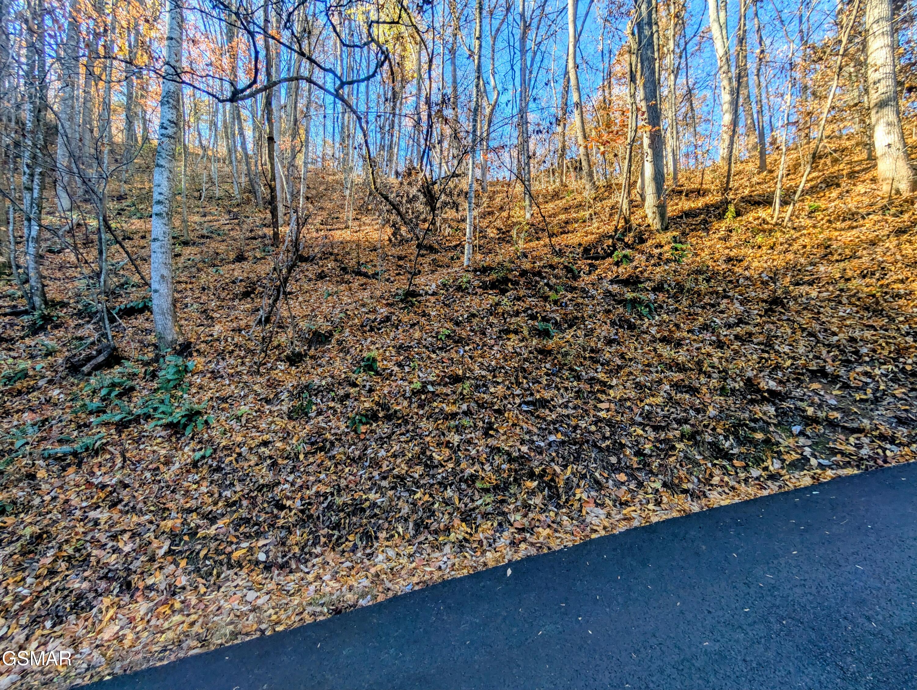 Lot 339 Ridgefield Drive Sevierville TN 37876