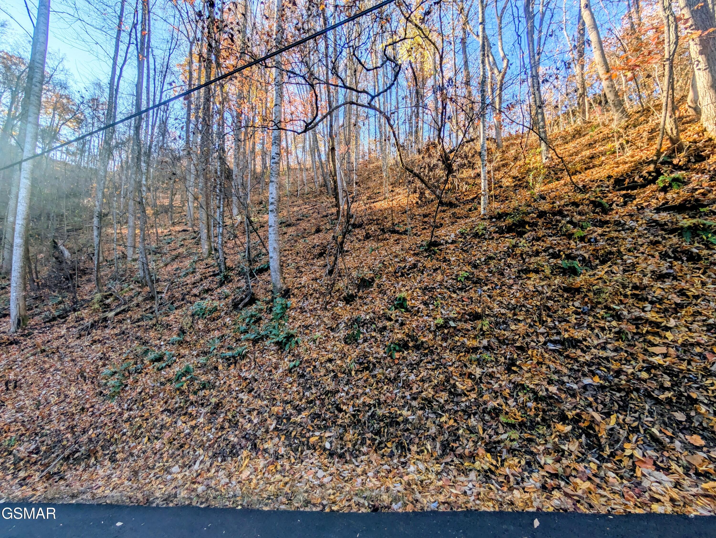 Lot 339 Ridgefield Drive Sevierville TN 37876