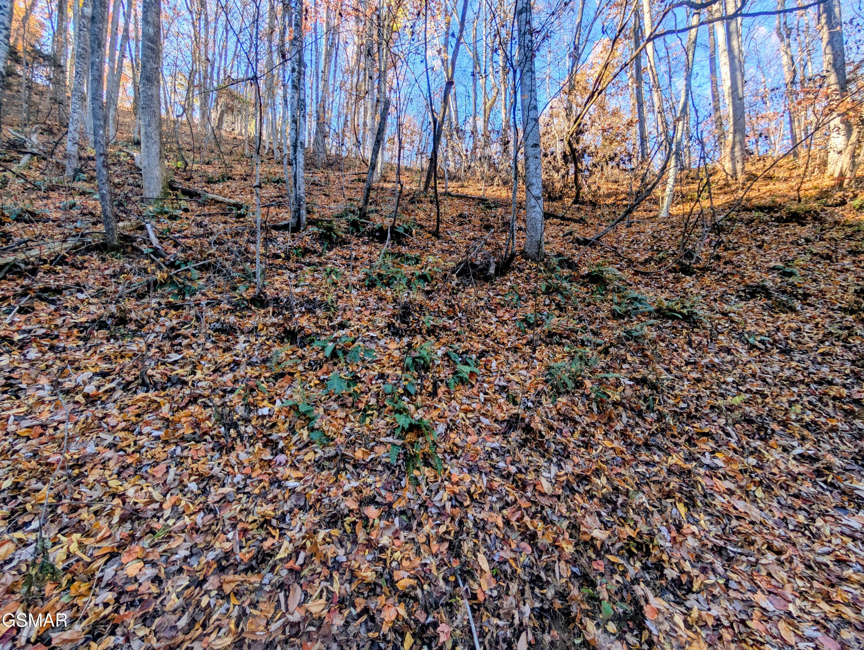 Lot 339 Ridgefield Drive Sevierville TN 37876