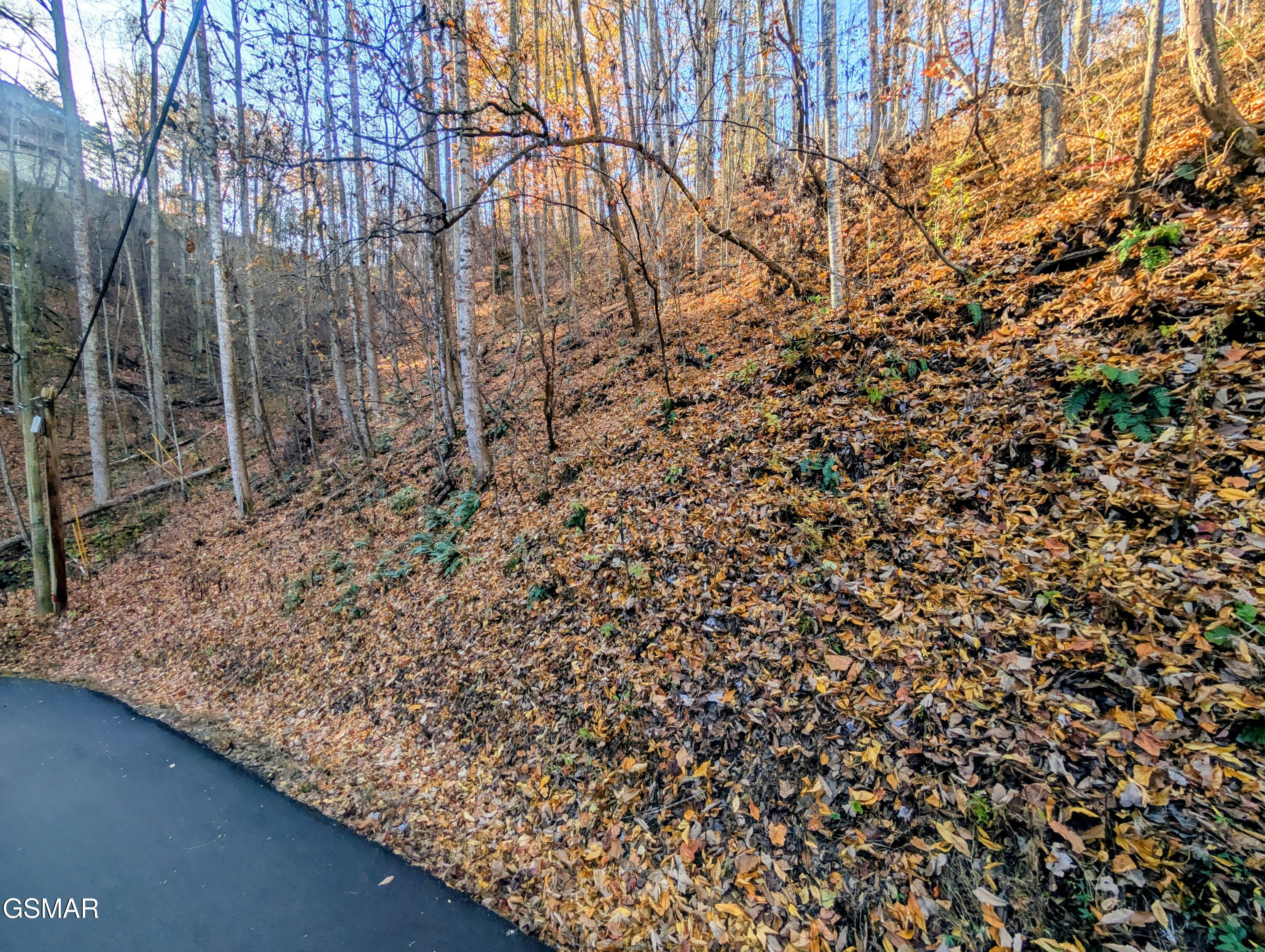 Lot 339 Ridgefield Drive Sevierville TN 37876