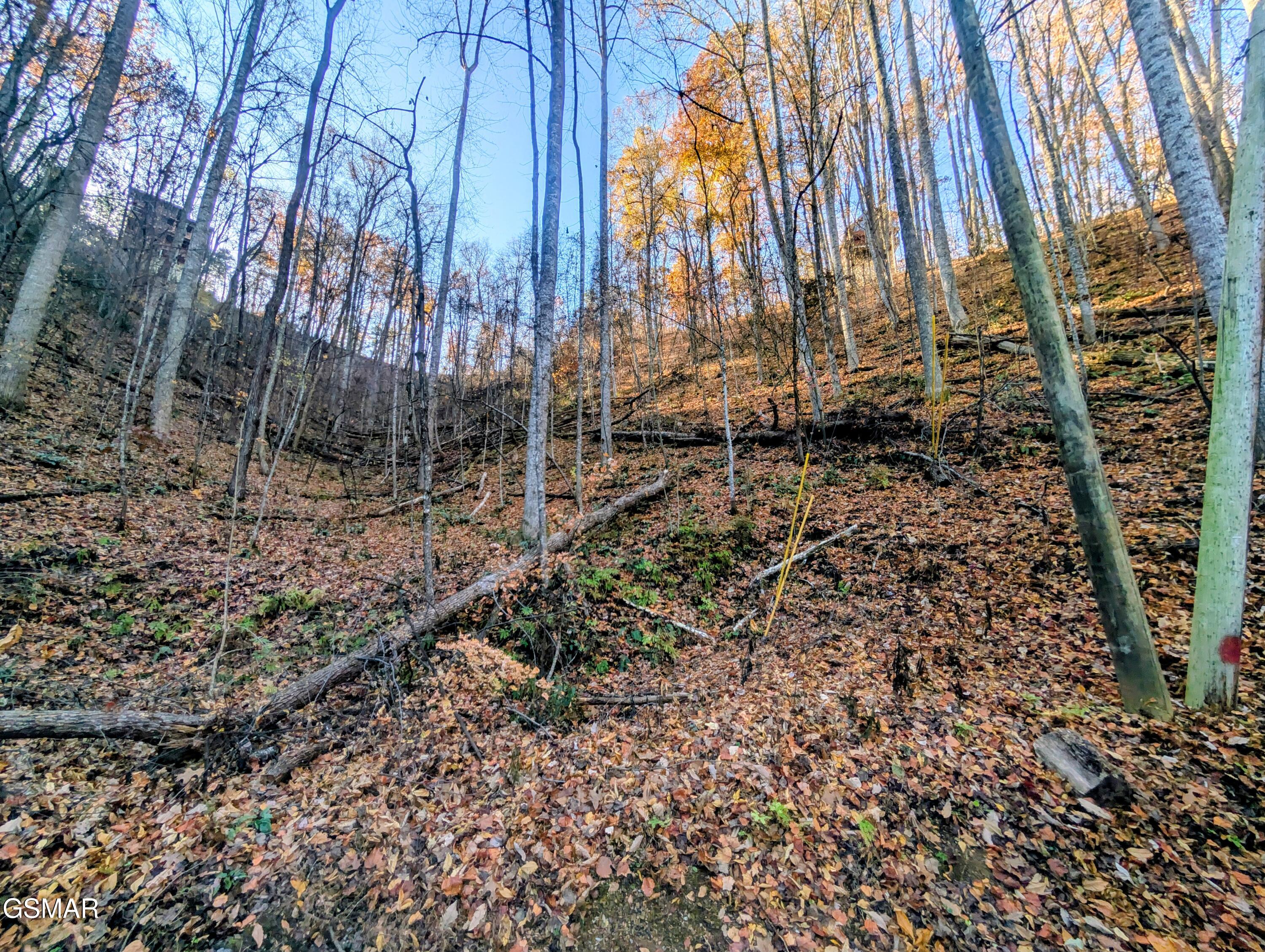 Lot 339 Ridgefield Drive Sevierville TN 37876