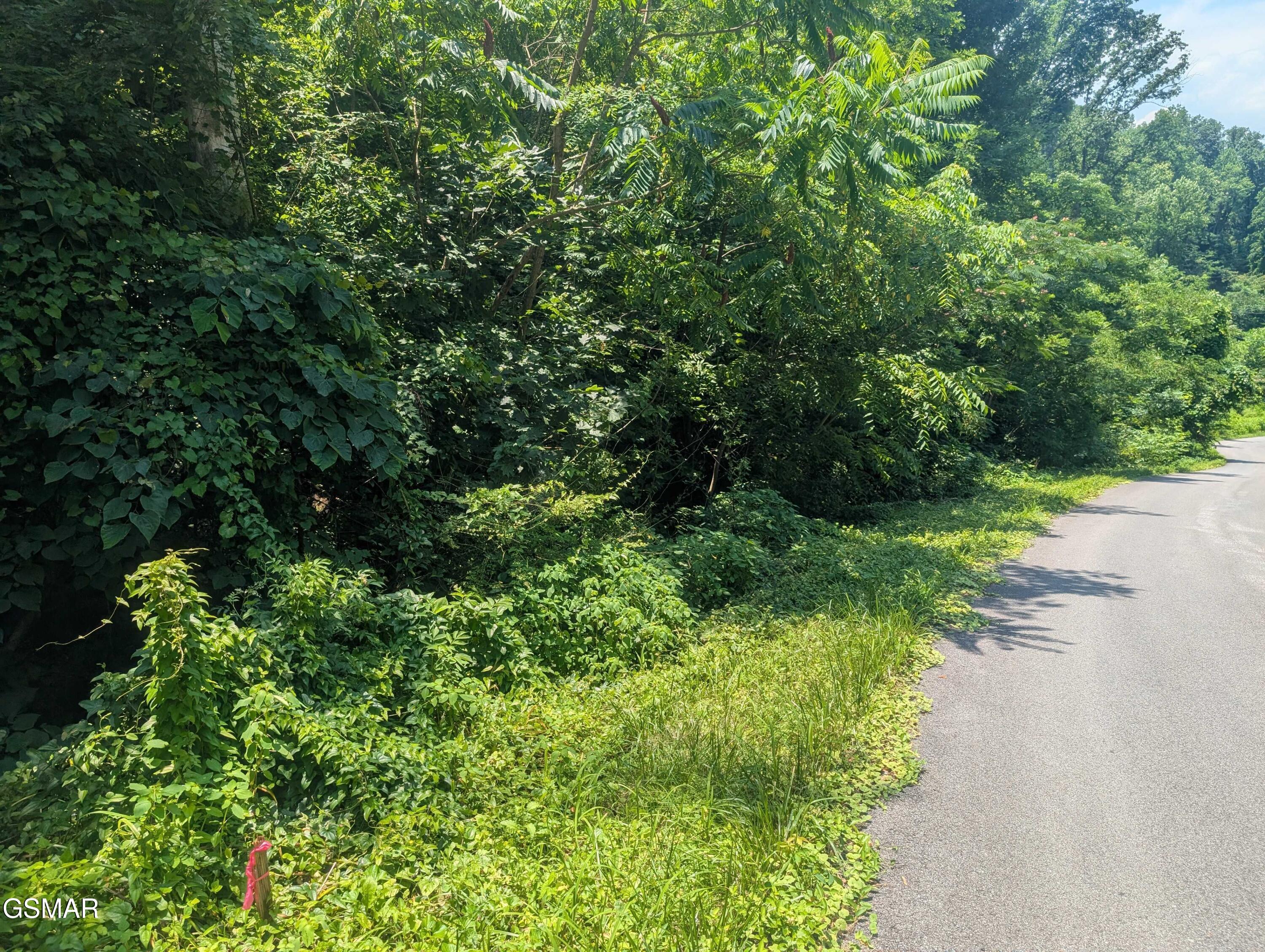 0 Beech Branch Road Gatlinburg TN 37738