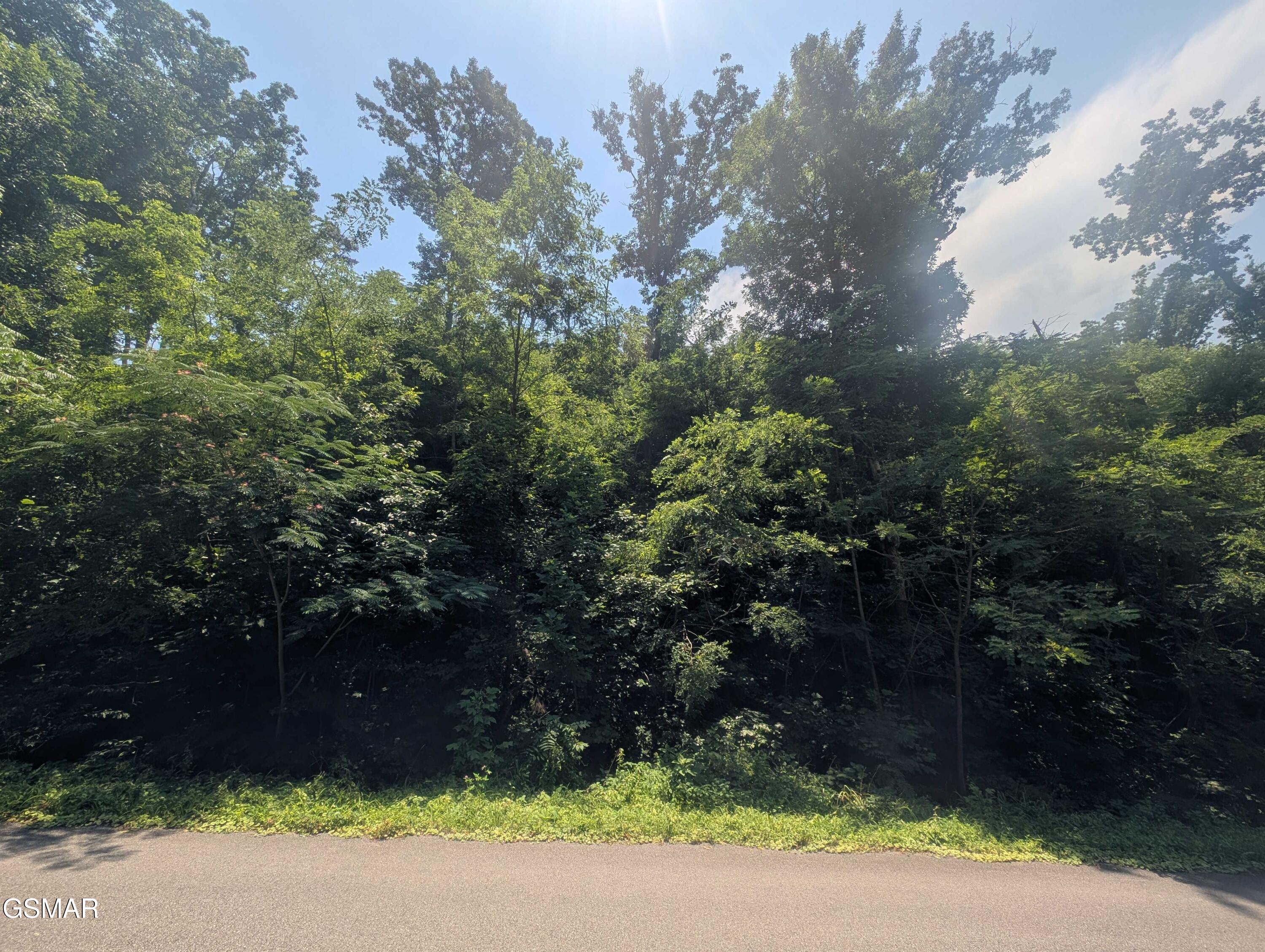 0 Beech Branch Road Gatlinburg TN 37738