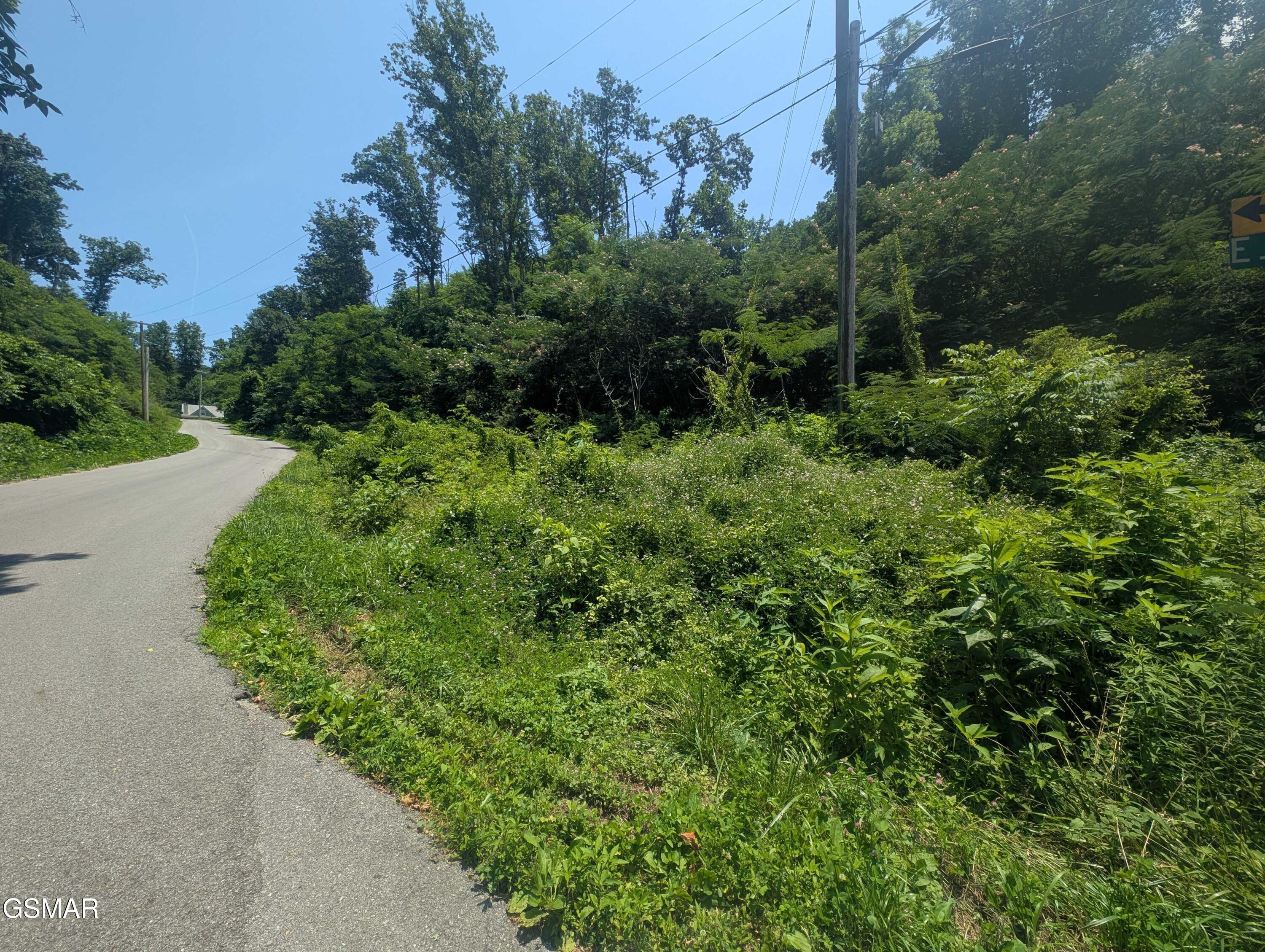 0 Beech Branch Road Gatlinburg TN 37738