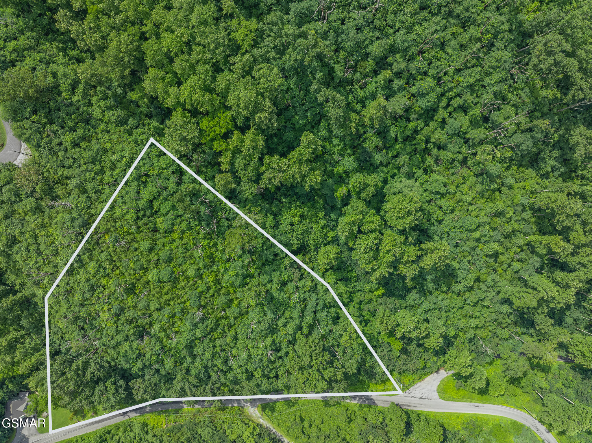 0 Beech Branch Road Gatlinburg TN 37738