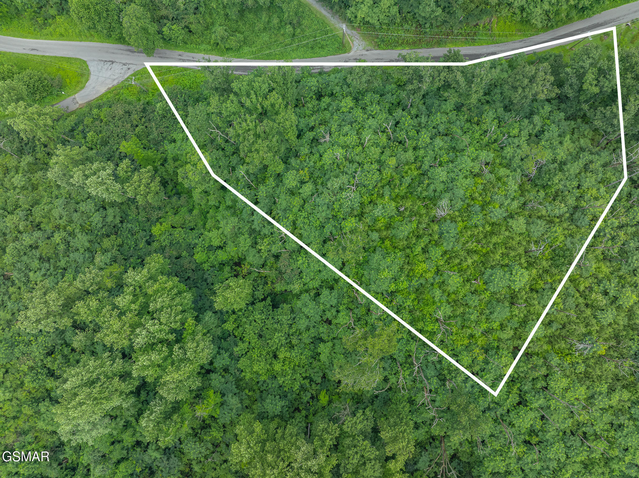 0 Beech Branch Road Gatlinburg TN 37738