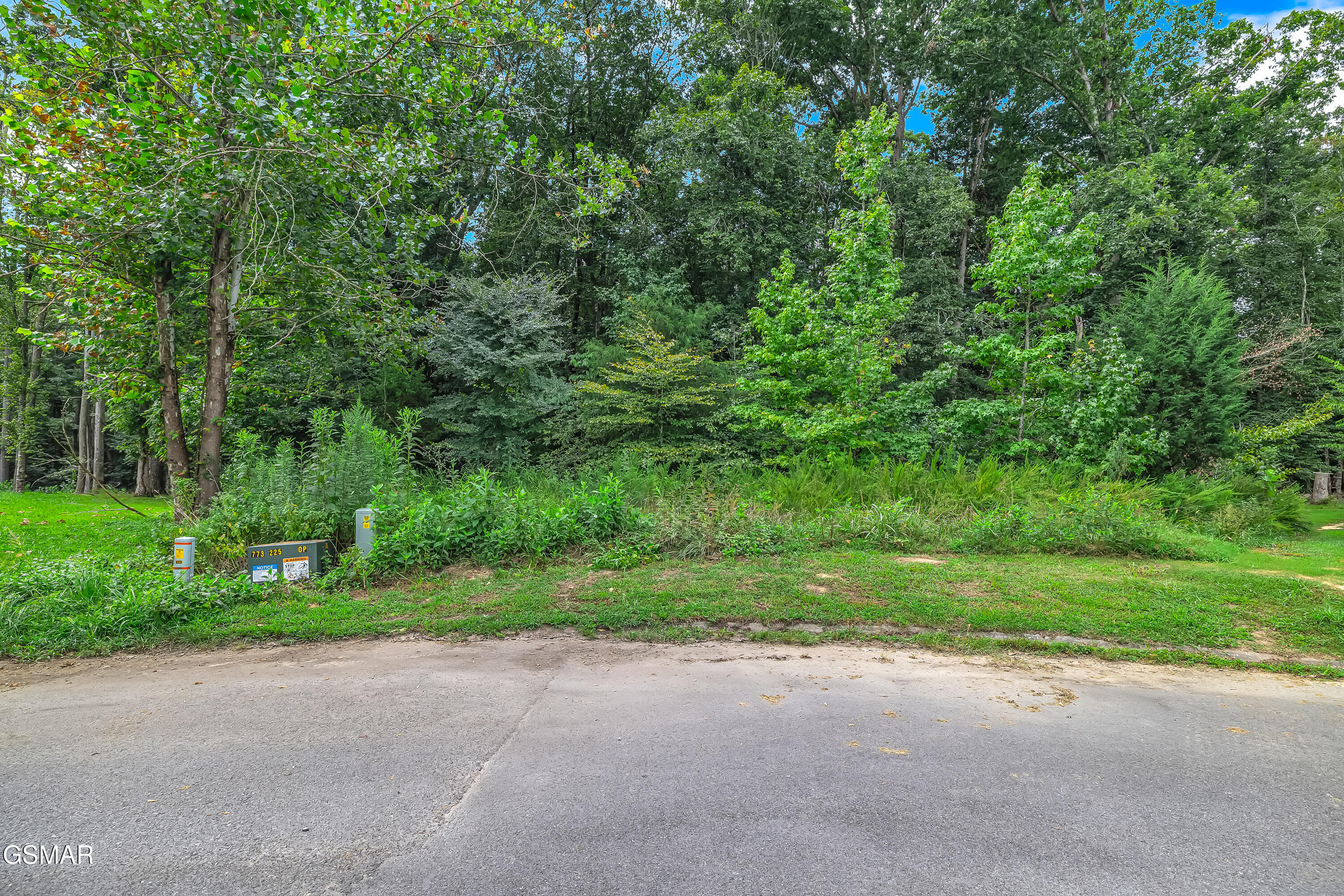Lot 11 Stokley Court Dandridge TN 37725