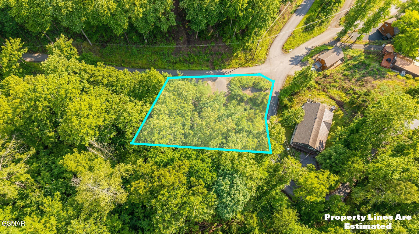 303 Silverbell Lane Gatlinburg TN 37738