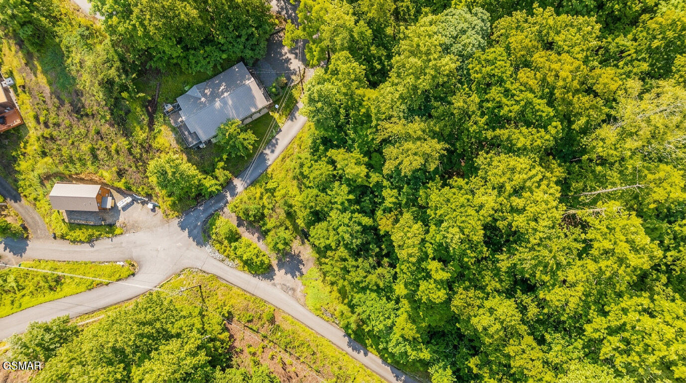 303 Silverbell Lane Gatlinburg TN 37738