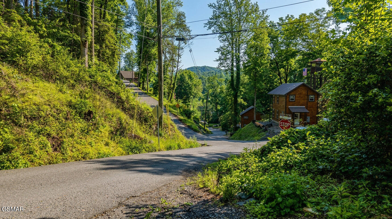 303 Silverbell Lane Gatlinburg TN 37738