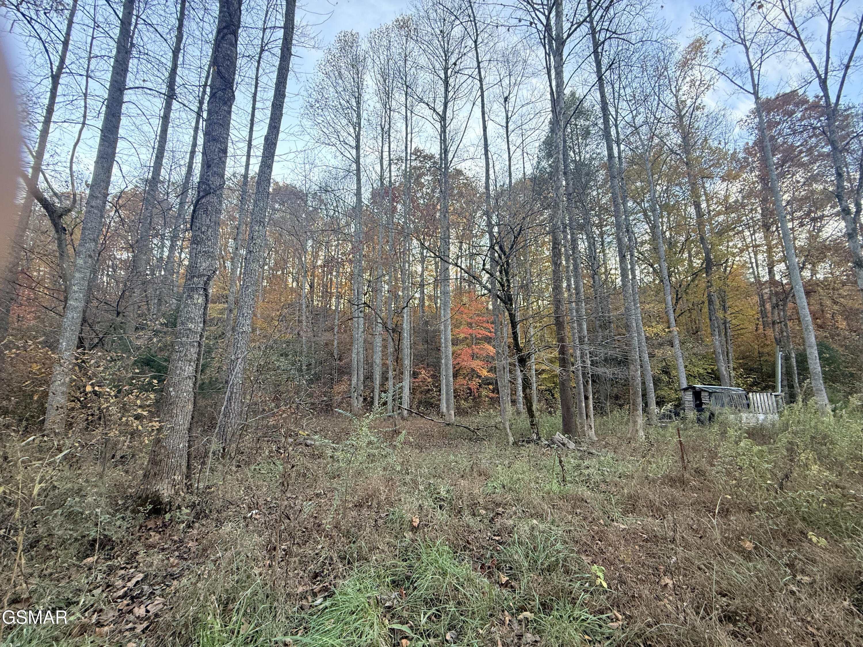 Lot 42/43 Deerfoot Road Newport TN 37821