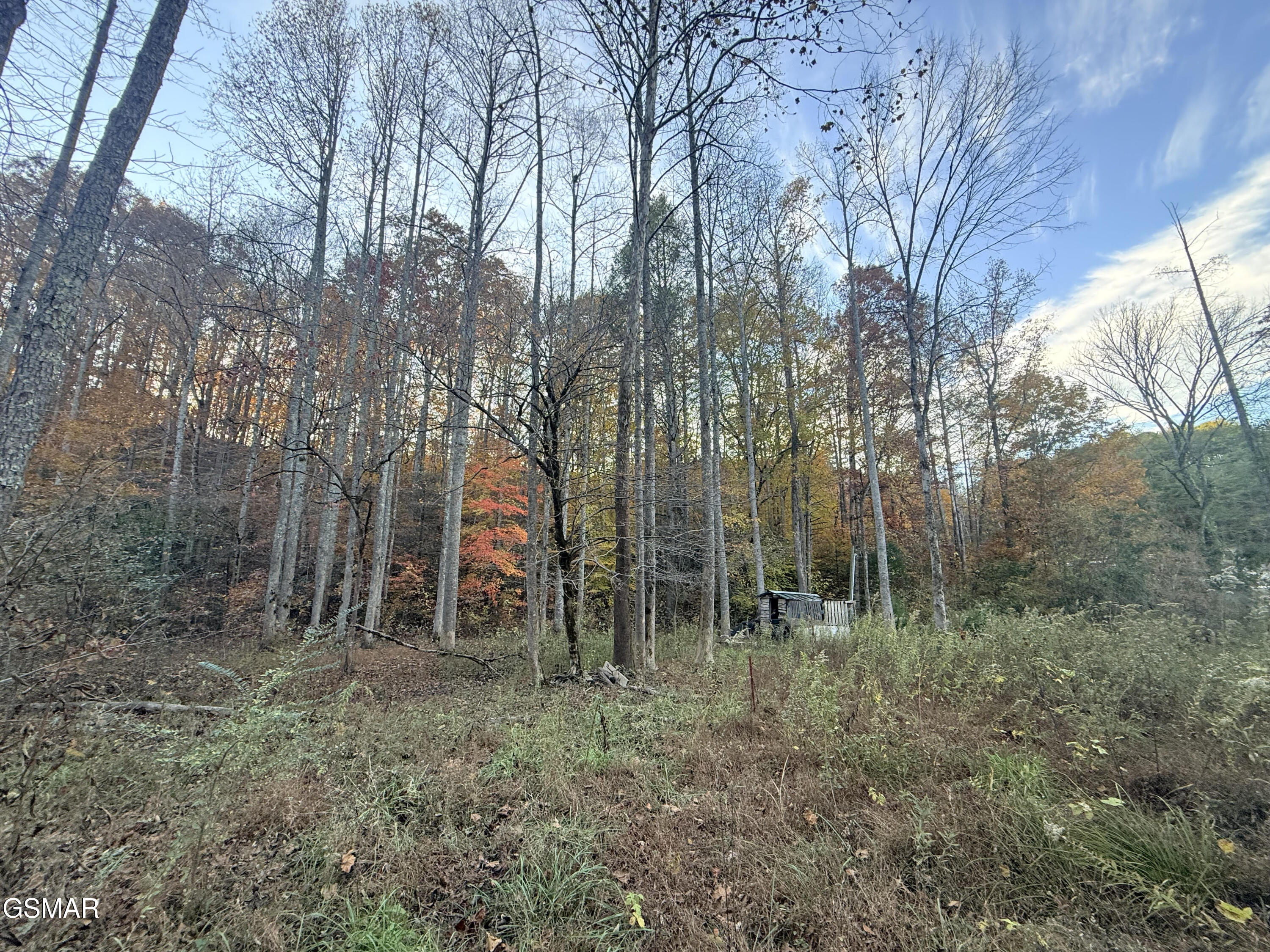 Lot 42/43 Deerfoot Road Newport TN 37821