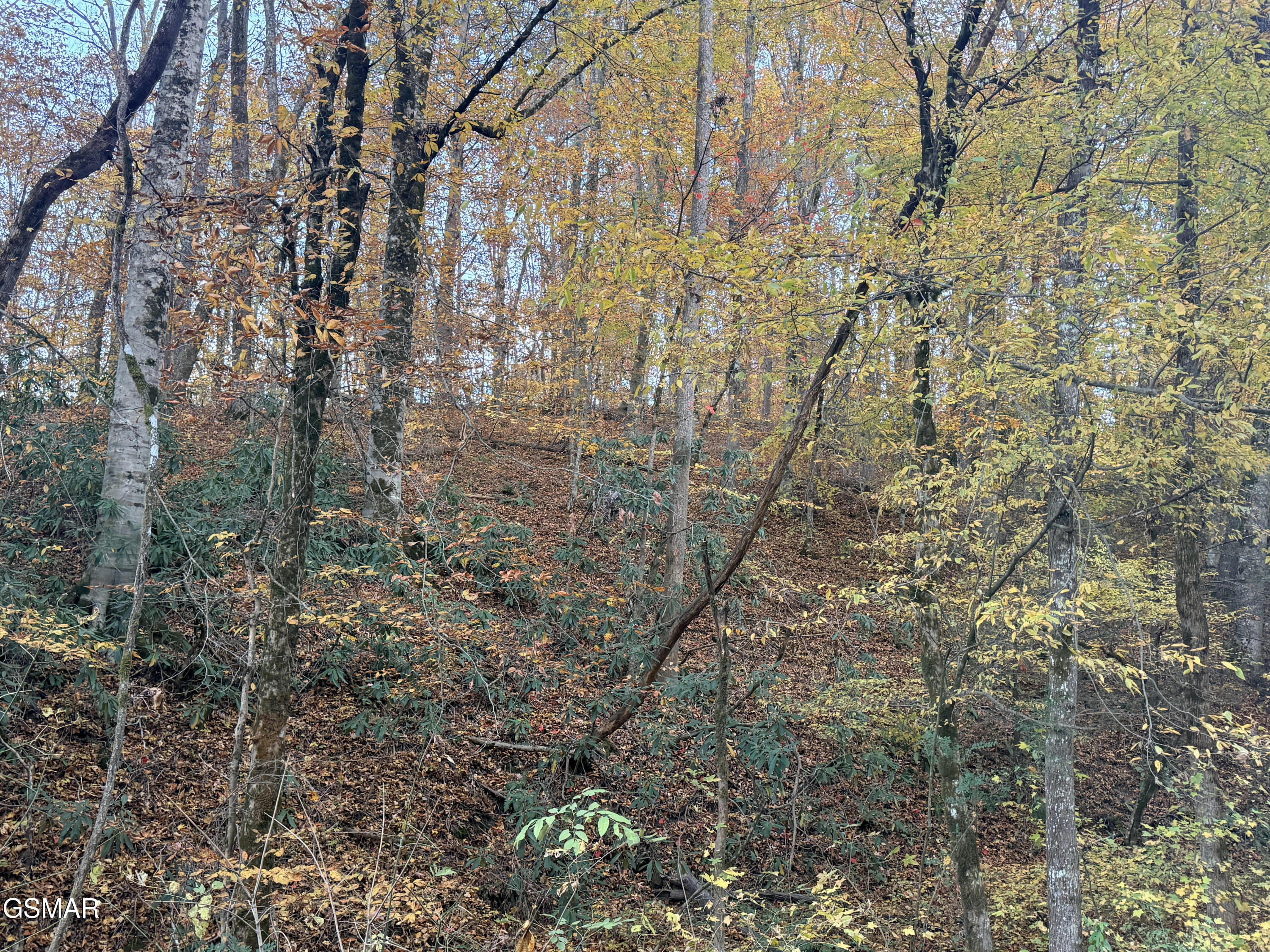 Lot 42/43 Deerfoot Road Newport TN 37821