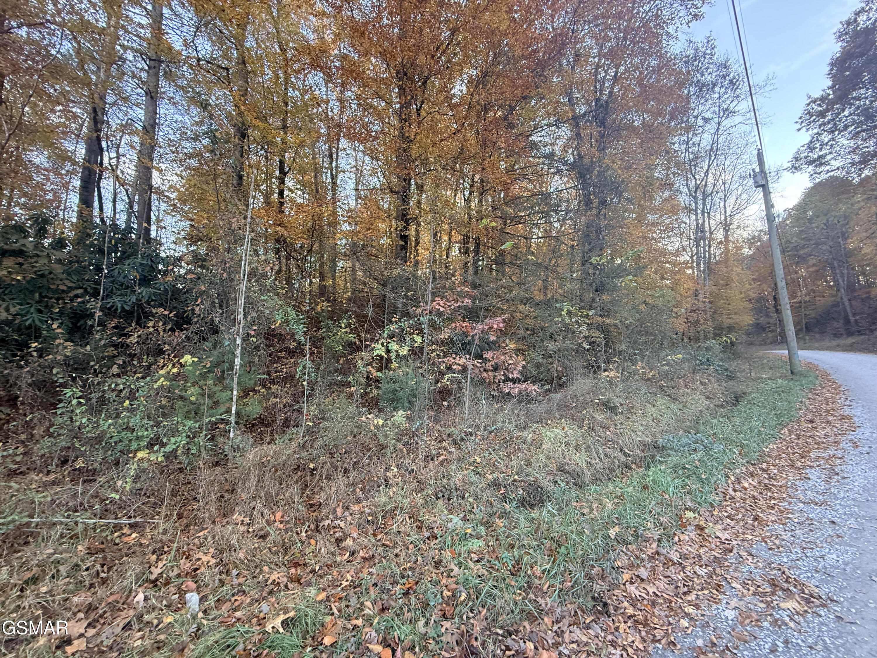 Lot 42/43 Deerfoot Road Newport TN 37821