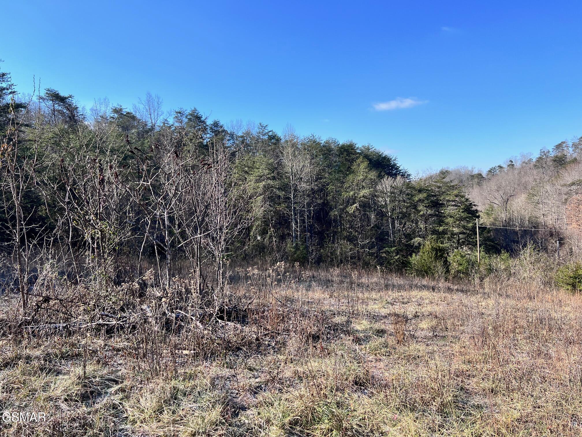 1581 Lower Caney Valley Road Tazewell TN 37879