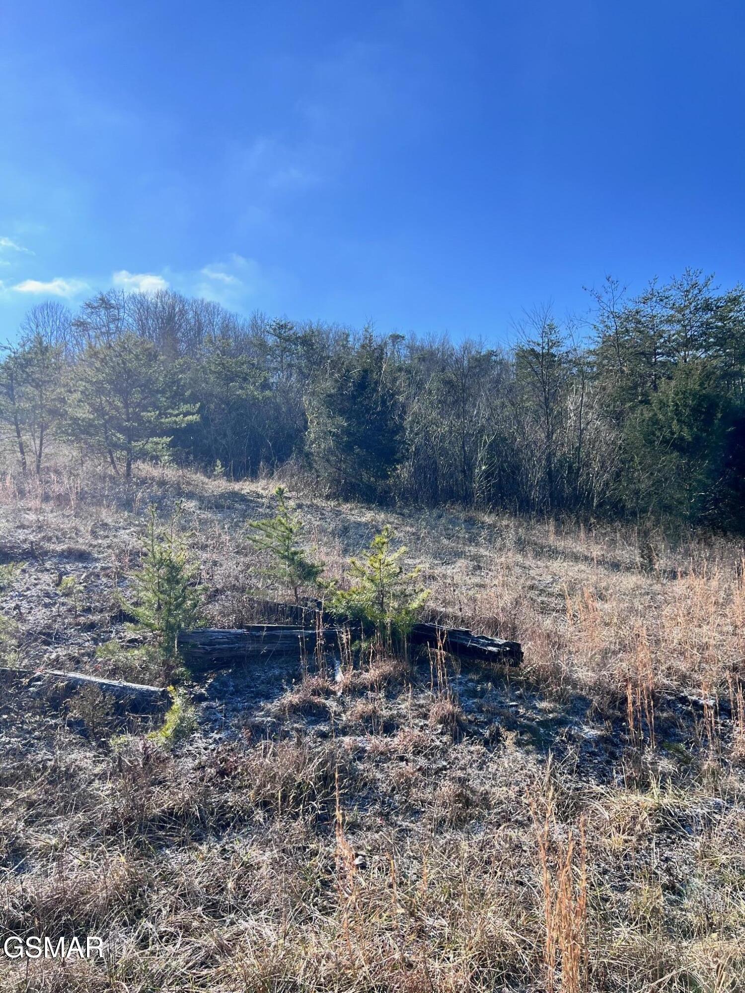 1581 Lower Caney Valley Road Tazewell TN 37879