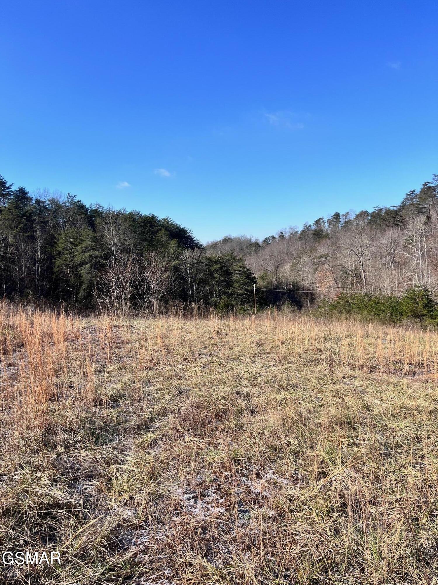 1581 Lower Caney Valley Road Tazewell TN 37879